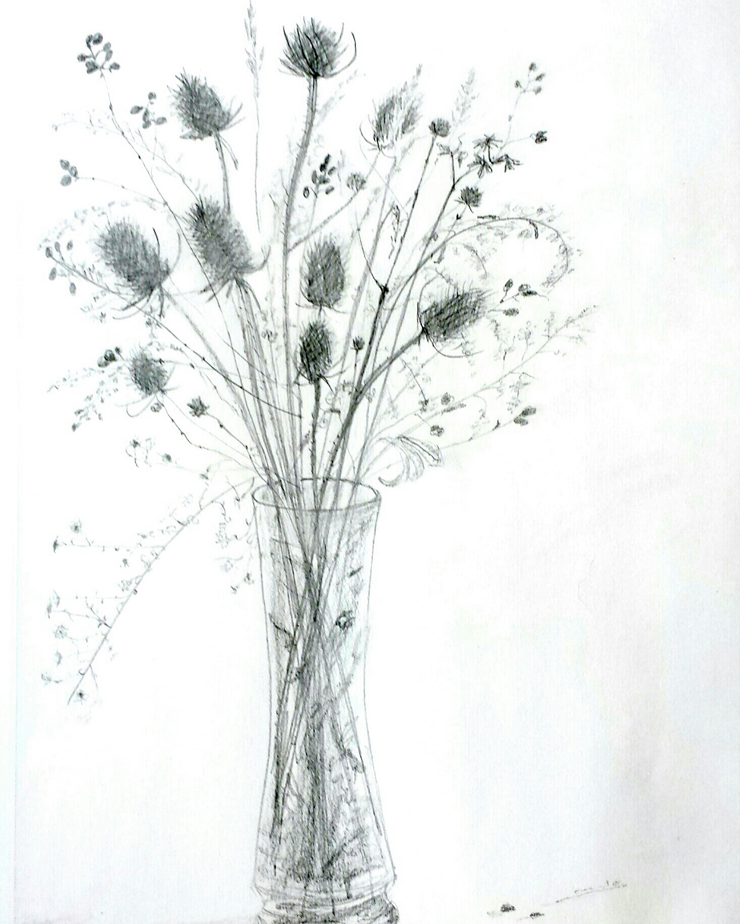 Autumn bouquet, graphite, 2016