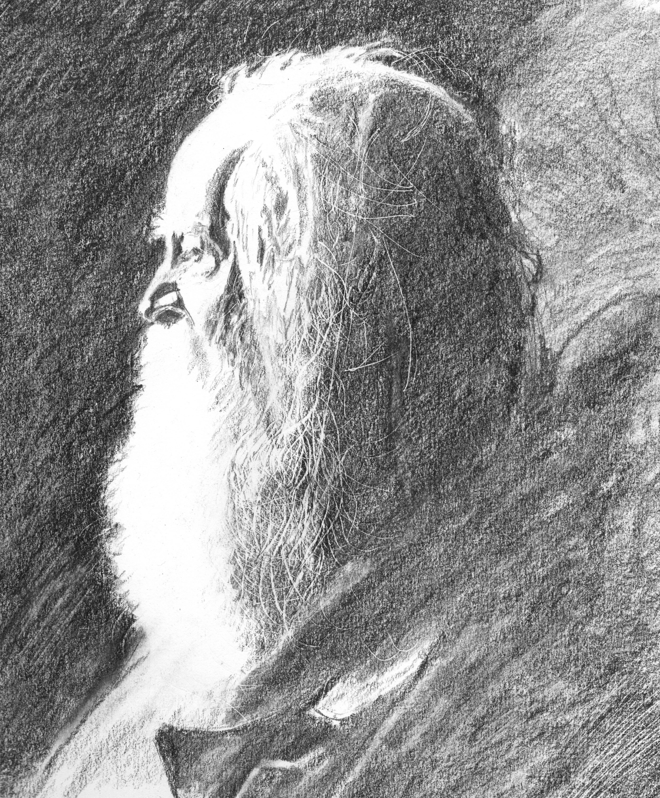 Walt Whitman, graphite on paper, 2016