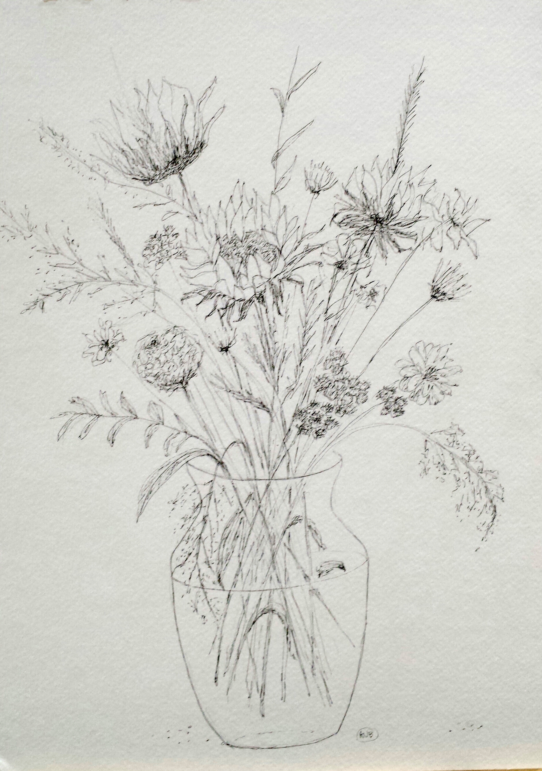 Sunflowers, graphite, 2016