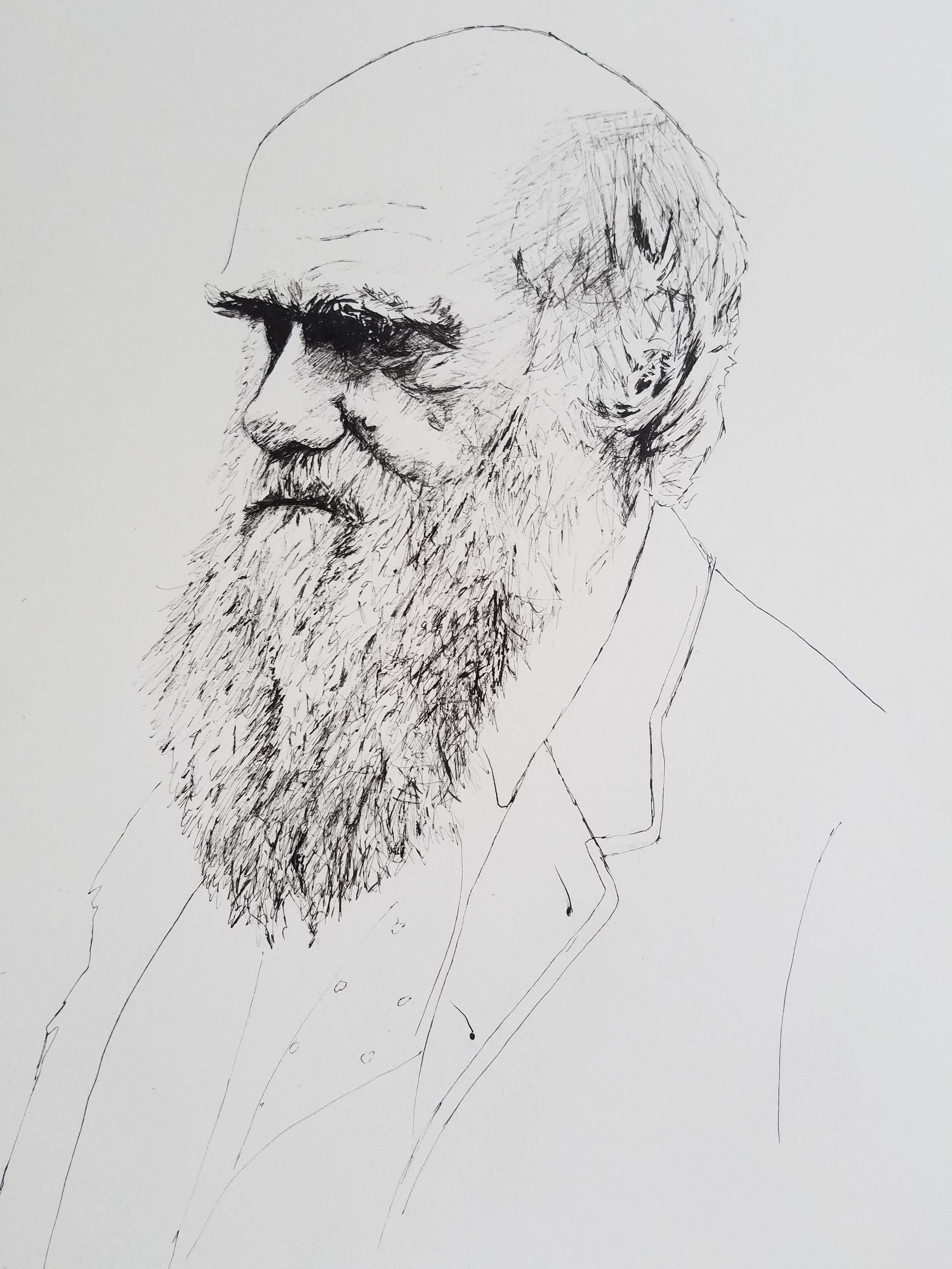 Charles Darwin, pen and ink, 2017
