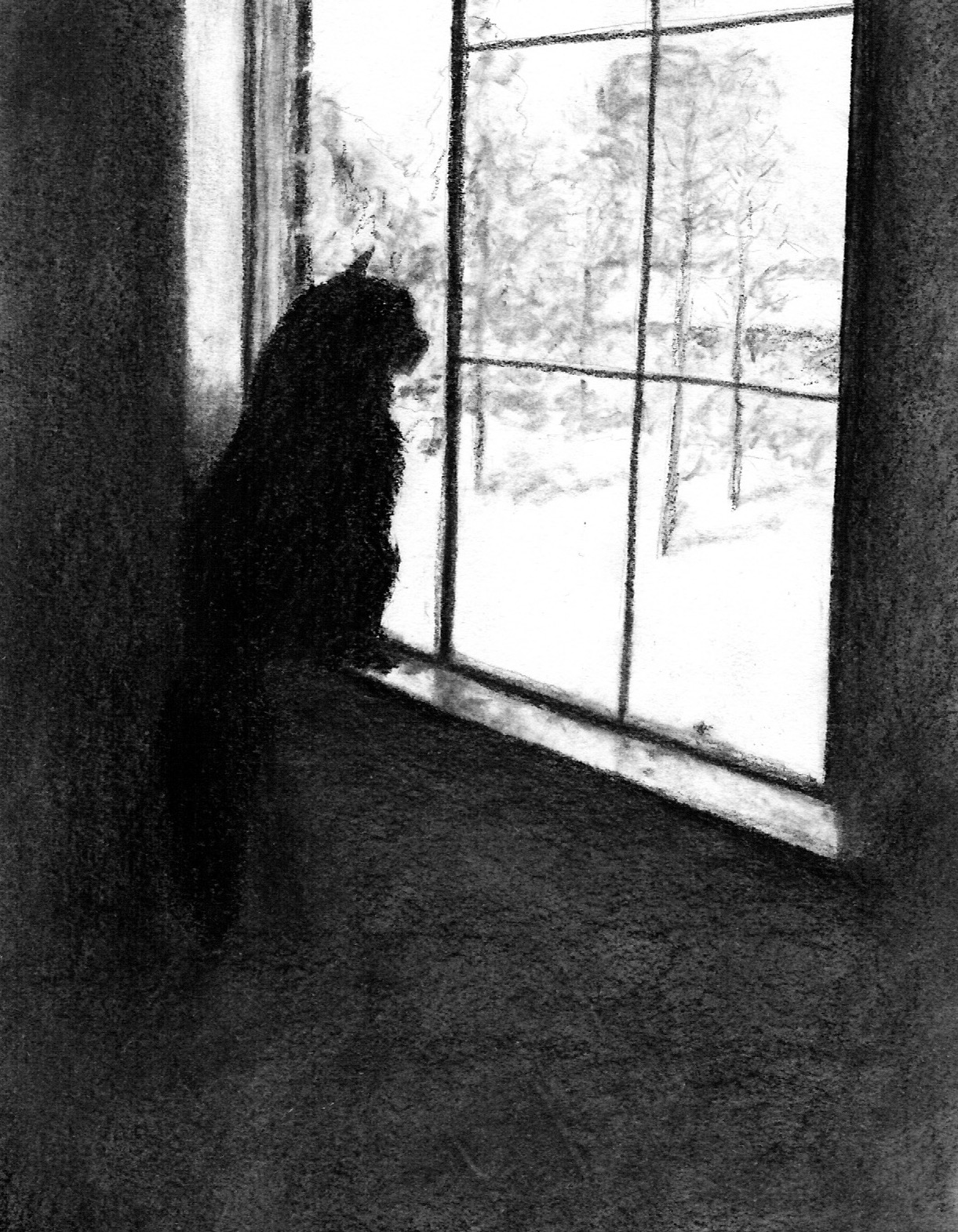 Cat at the window; charcoal; 2017