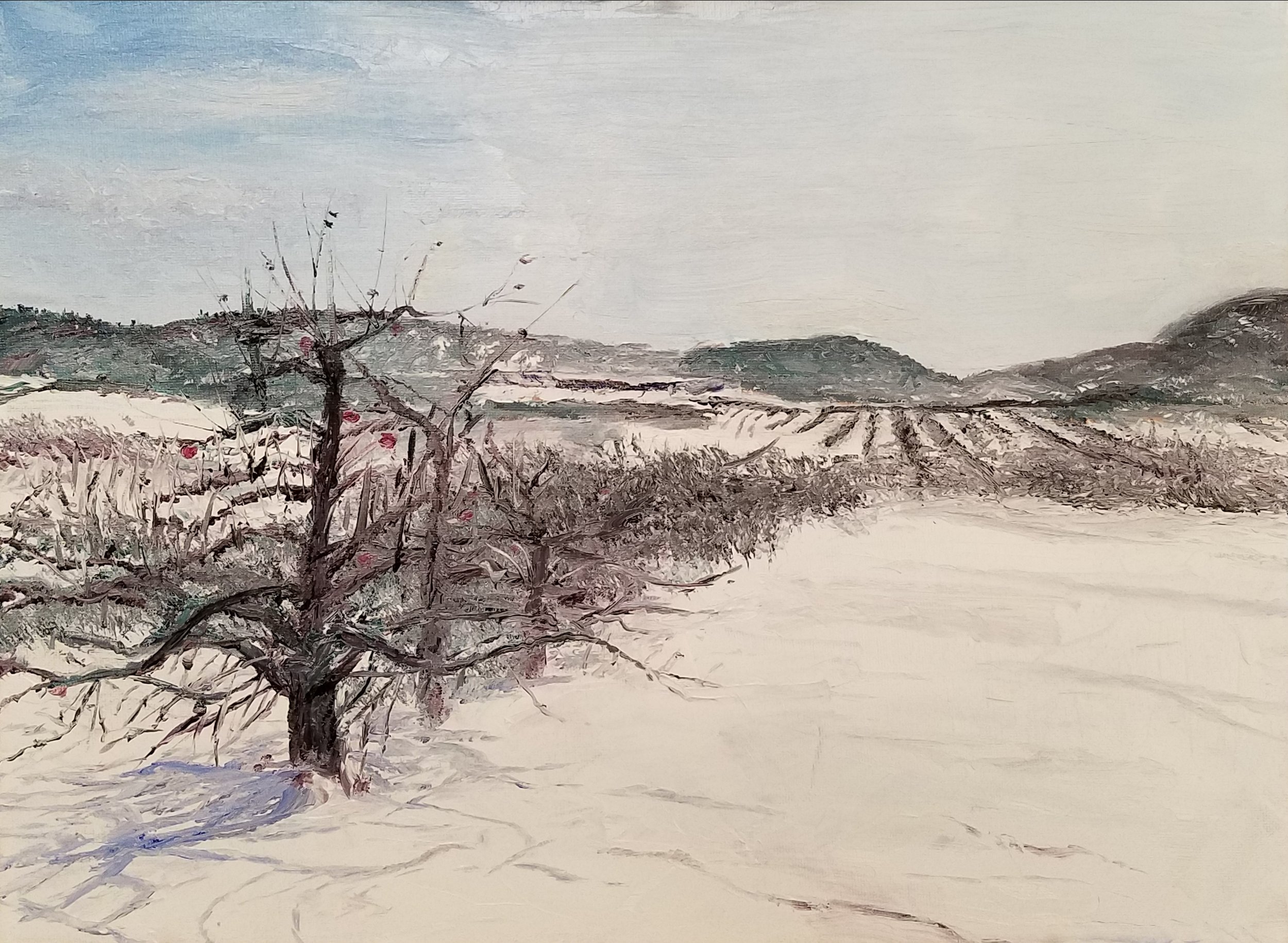 Apple orchard in the snow; oil; 2018