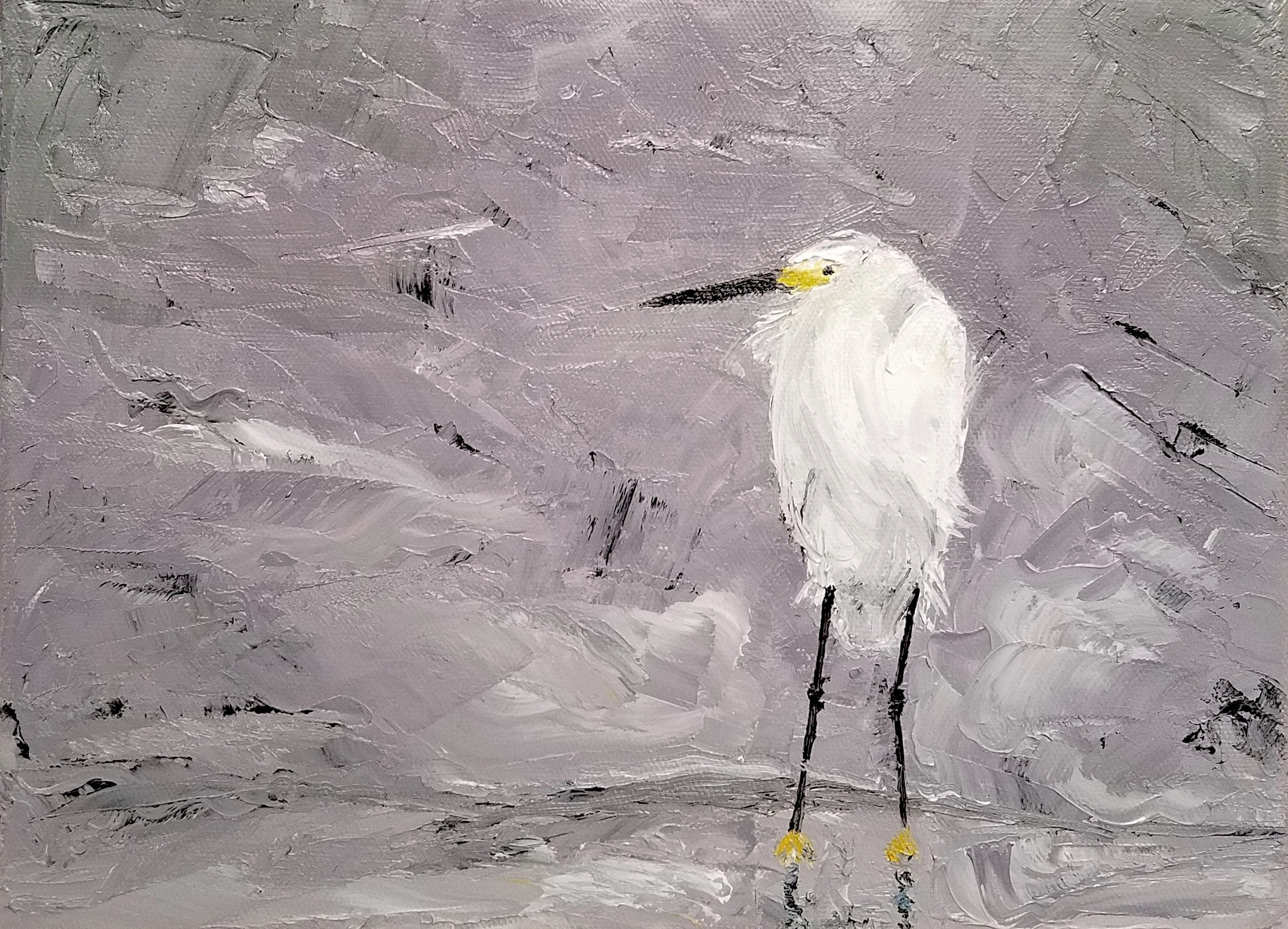 Snowy Egret; oil; 2018