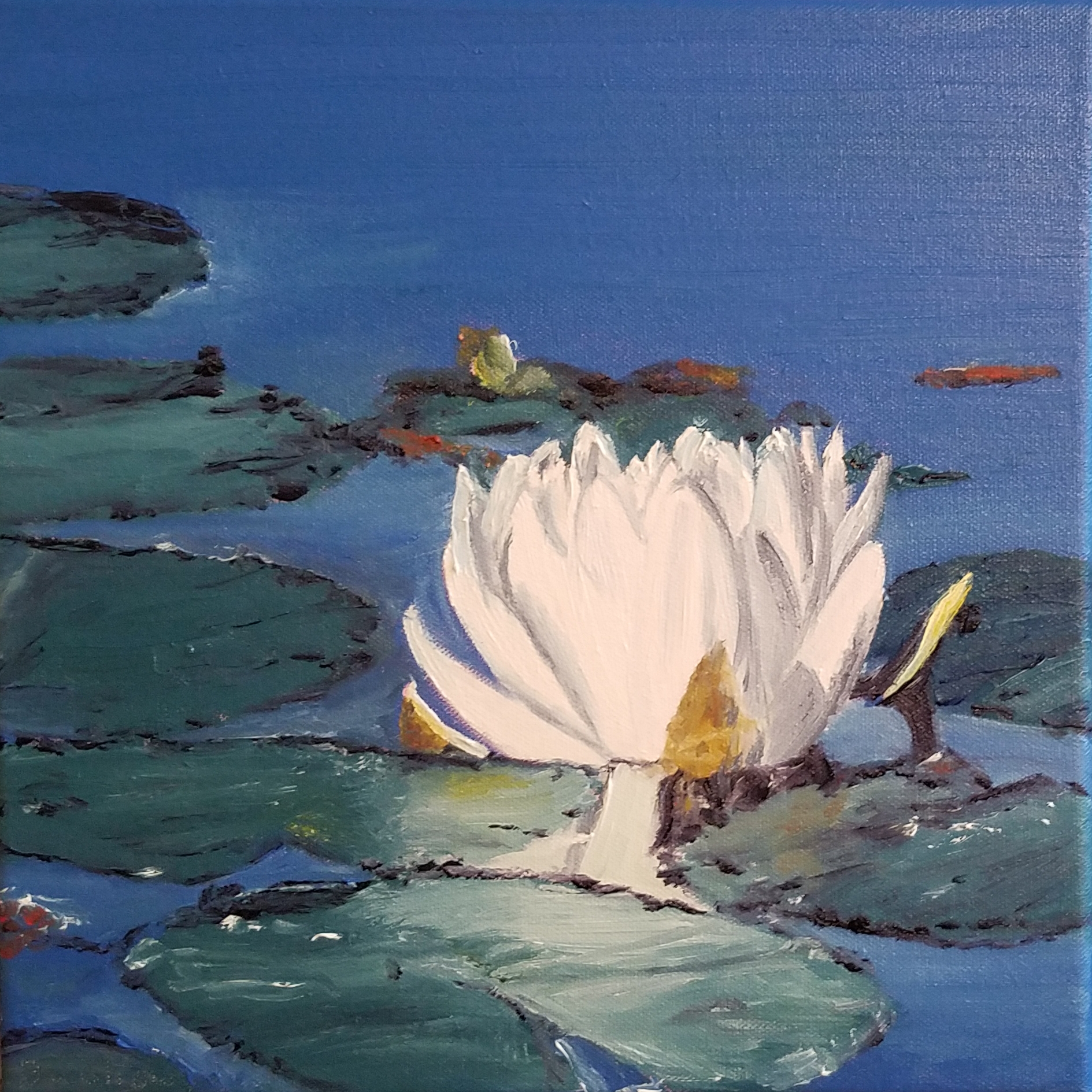 Waterlily; oil on canvas; 2018