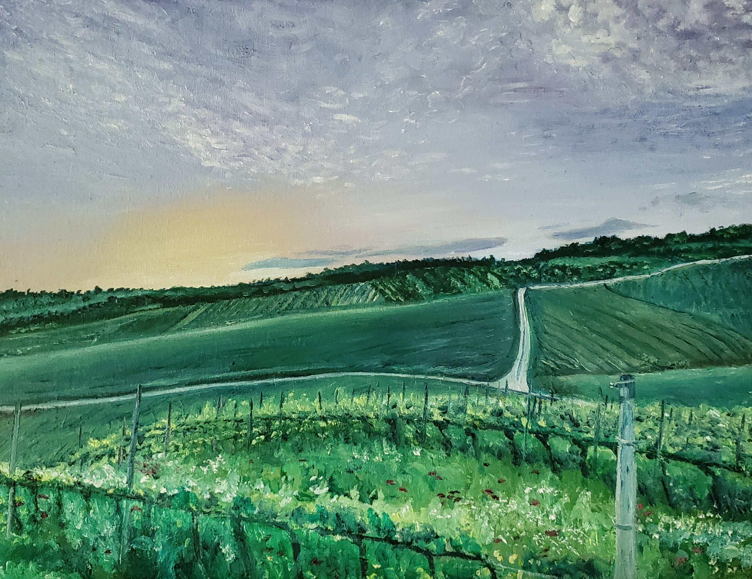 Vineyards, Forlì, Emiglia-Romagna, Italy; oil on panel; 2019