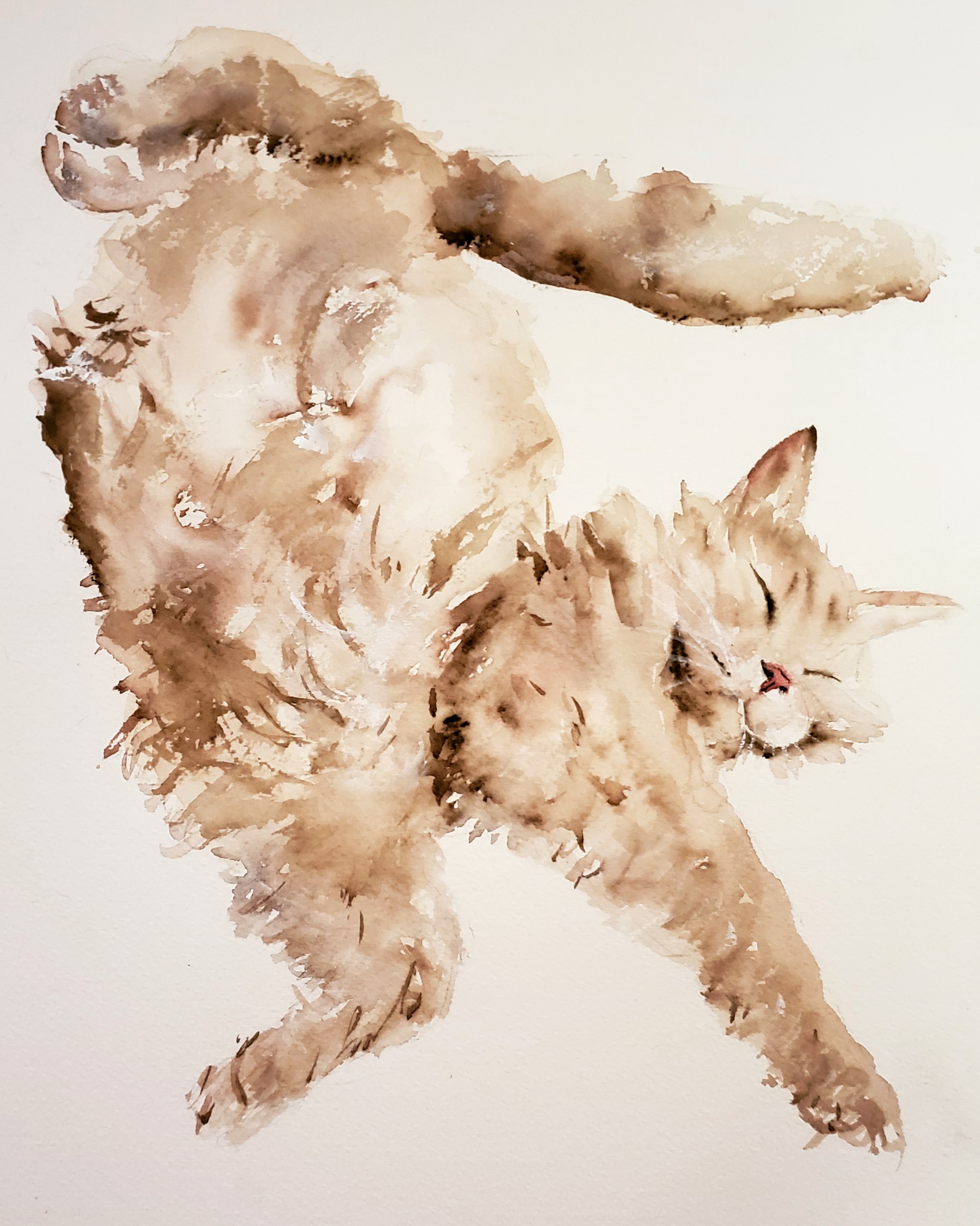 Sleeping cat; watercolor; 2019