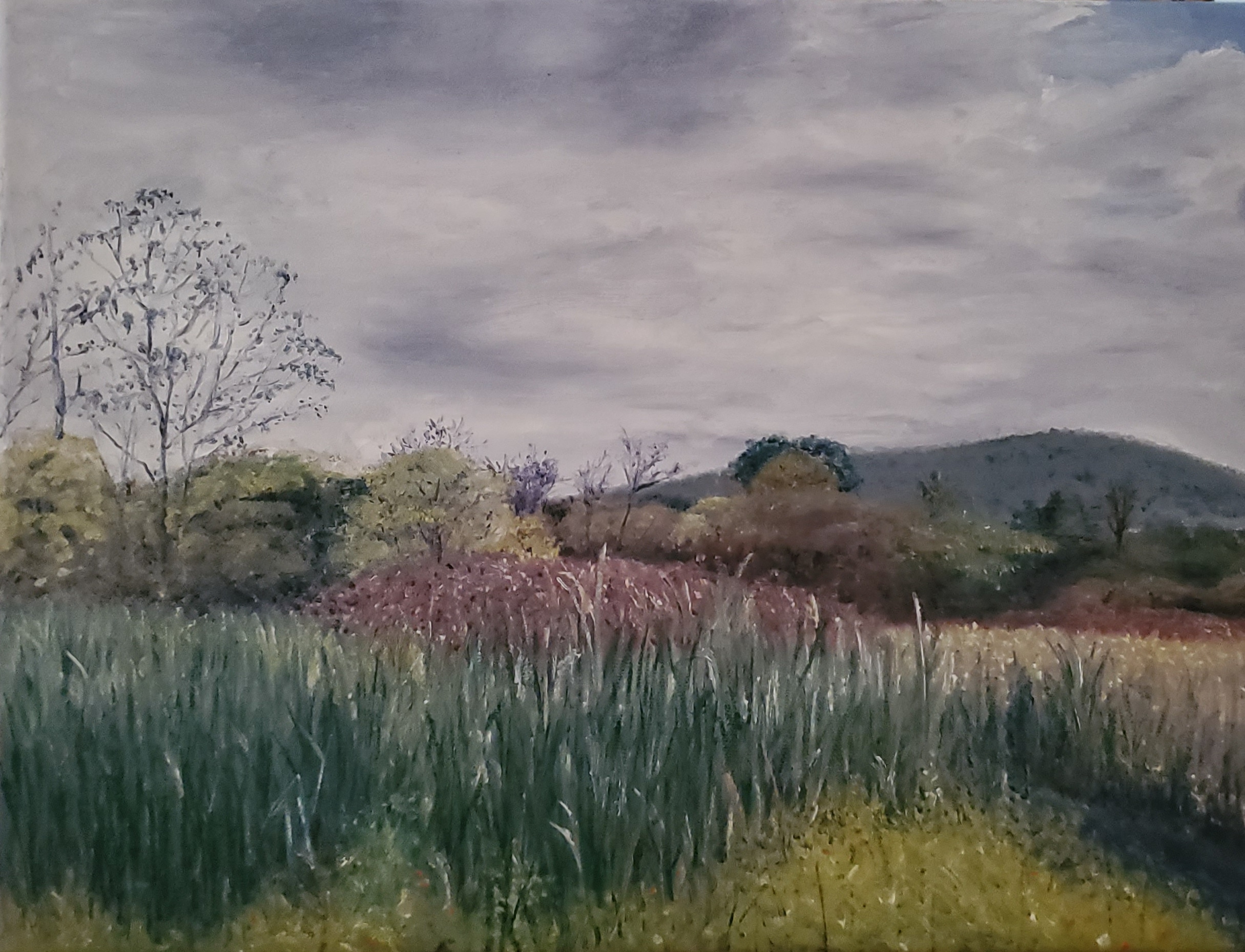 Millbrook Marsh; oil on canvas; 2019