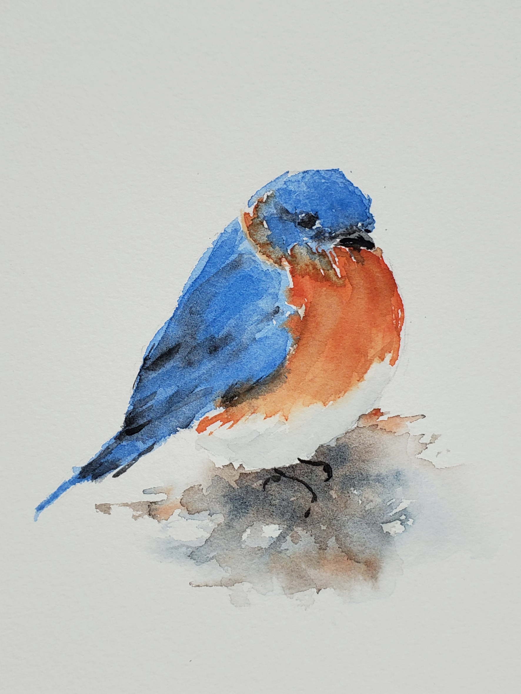 Bluebird; watercolor; 2019; SOLD