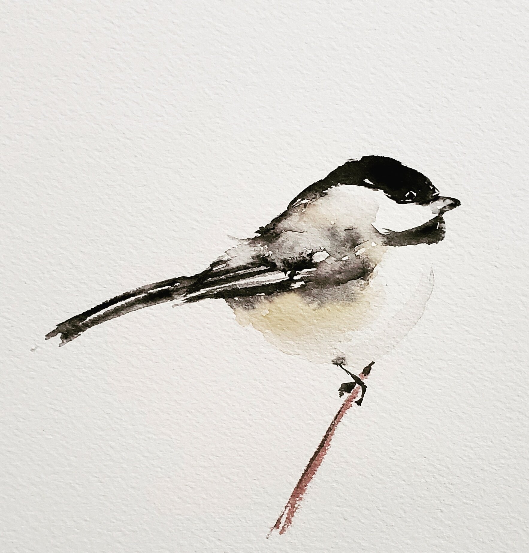 Black-capped Chickadee; watercolor; 2019; SOLD