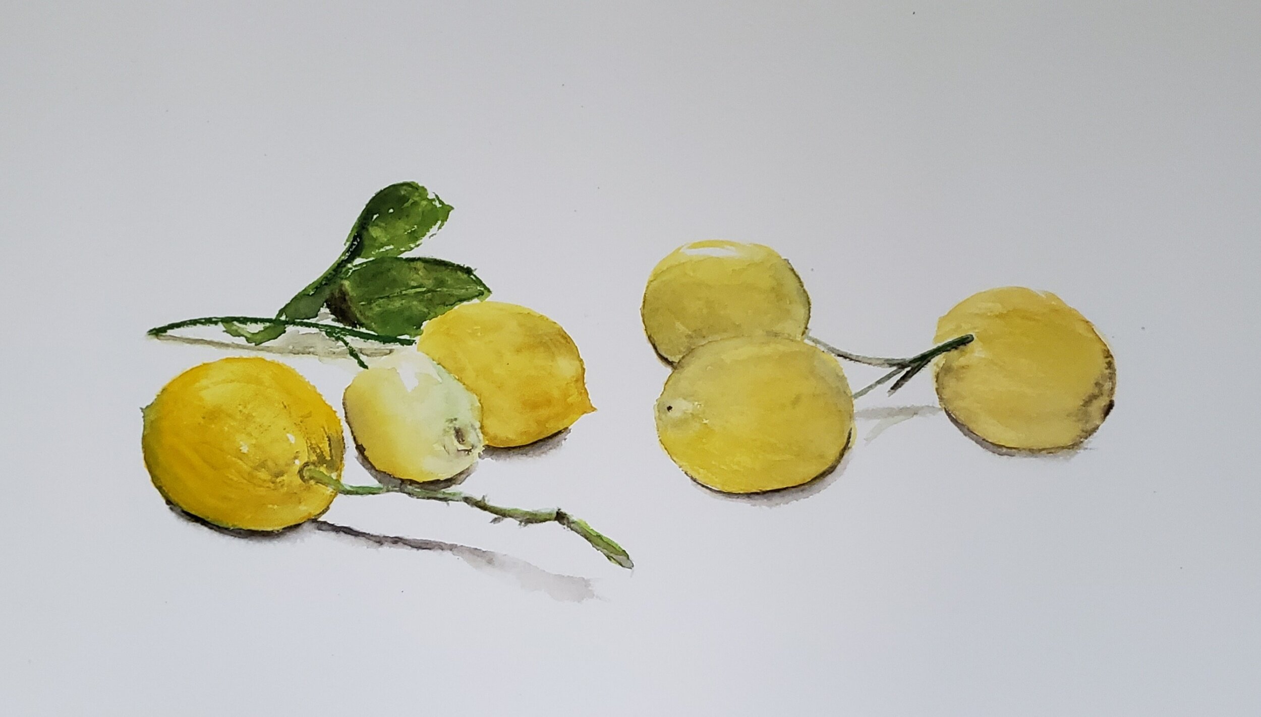 Meyer Lemons; watercolor; 2019