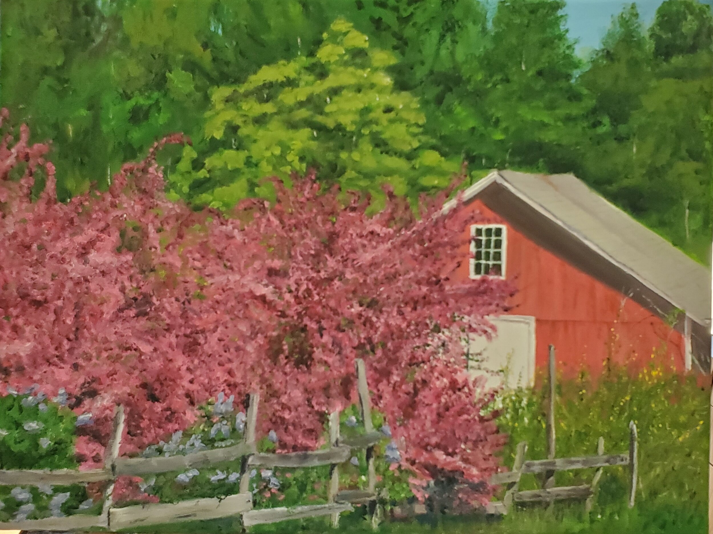 Barn with Crabapple Trees: 2020