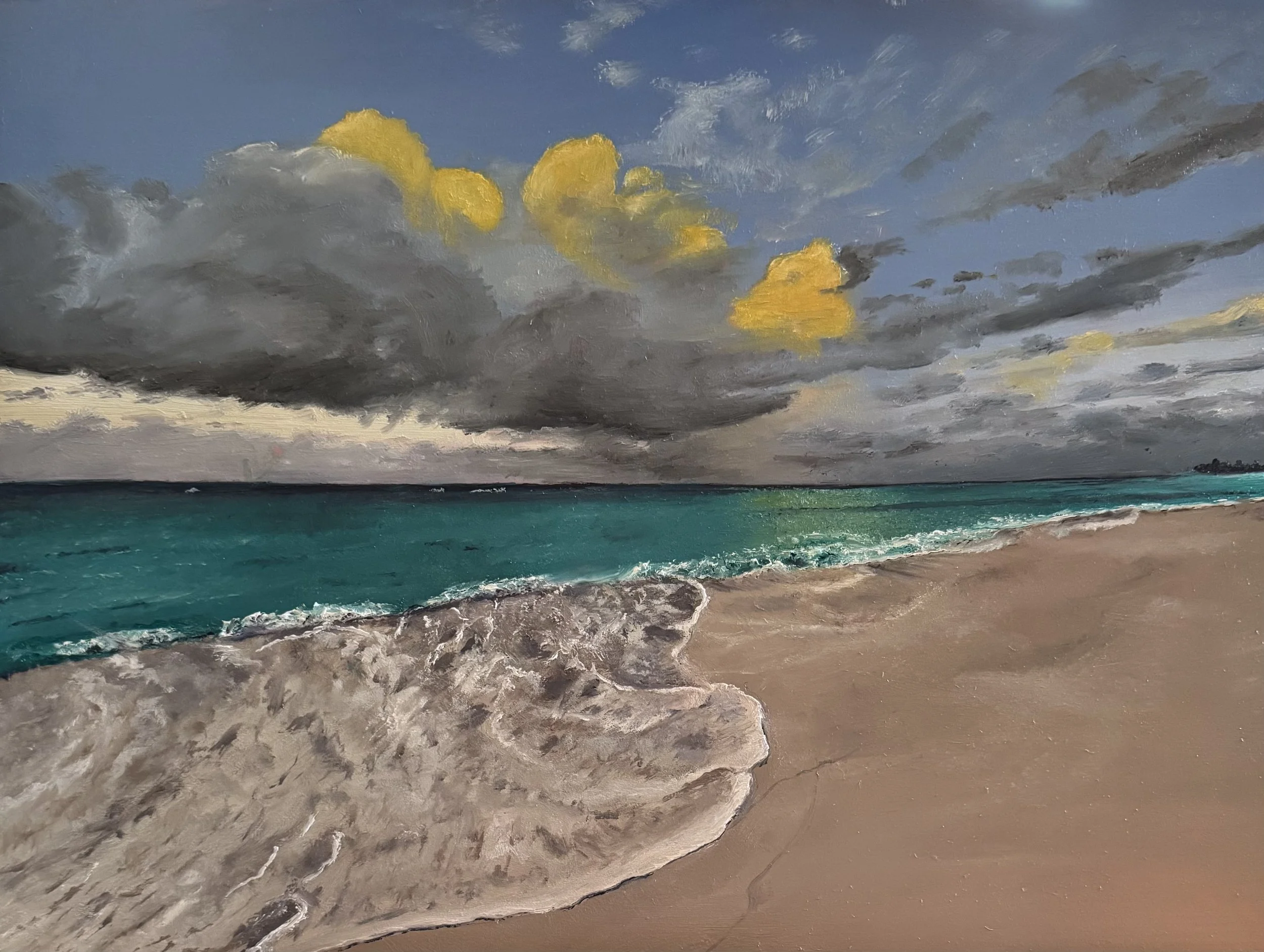 Tropical Island Morning; 2025; reference photo by Cheryl Patterson