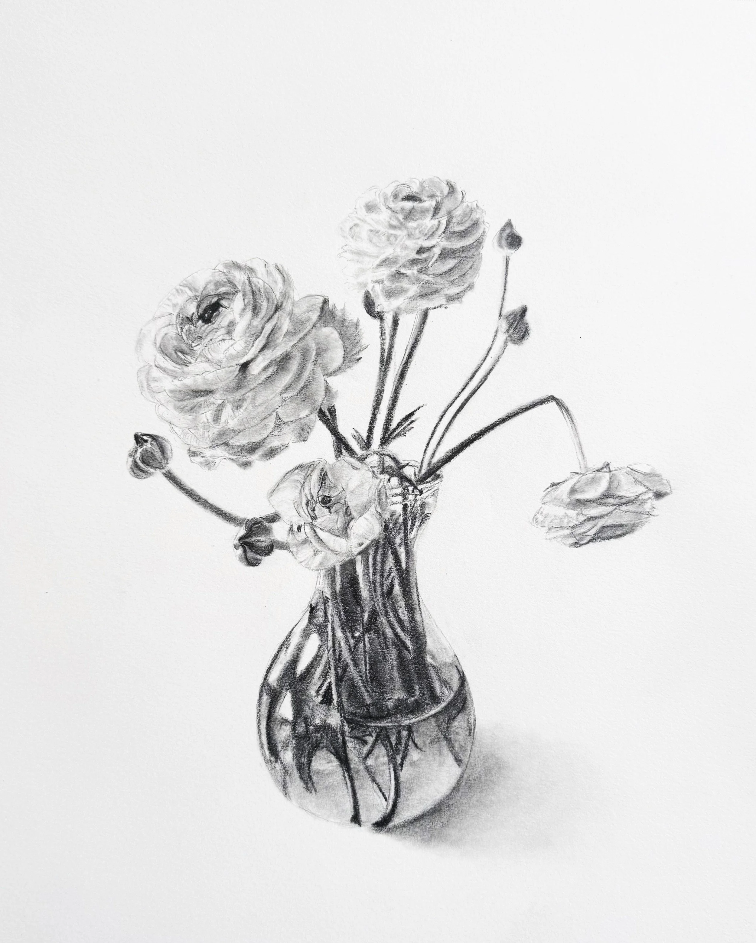 Ranunculus Bouquet; 2025