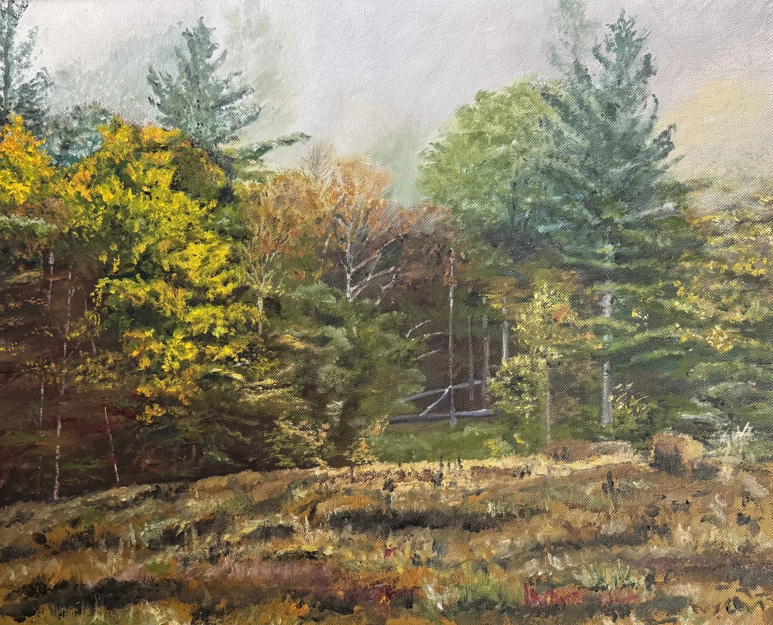 Foggy Morning; reference photo by Cheryl Patterson, 2025