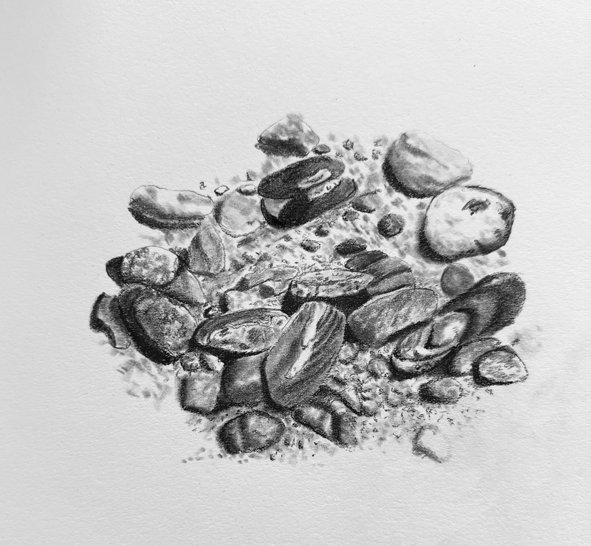 Beach Stones in Maine; 2025