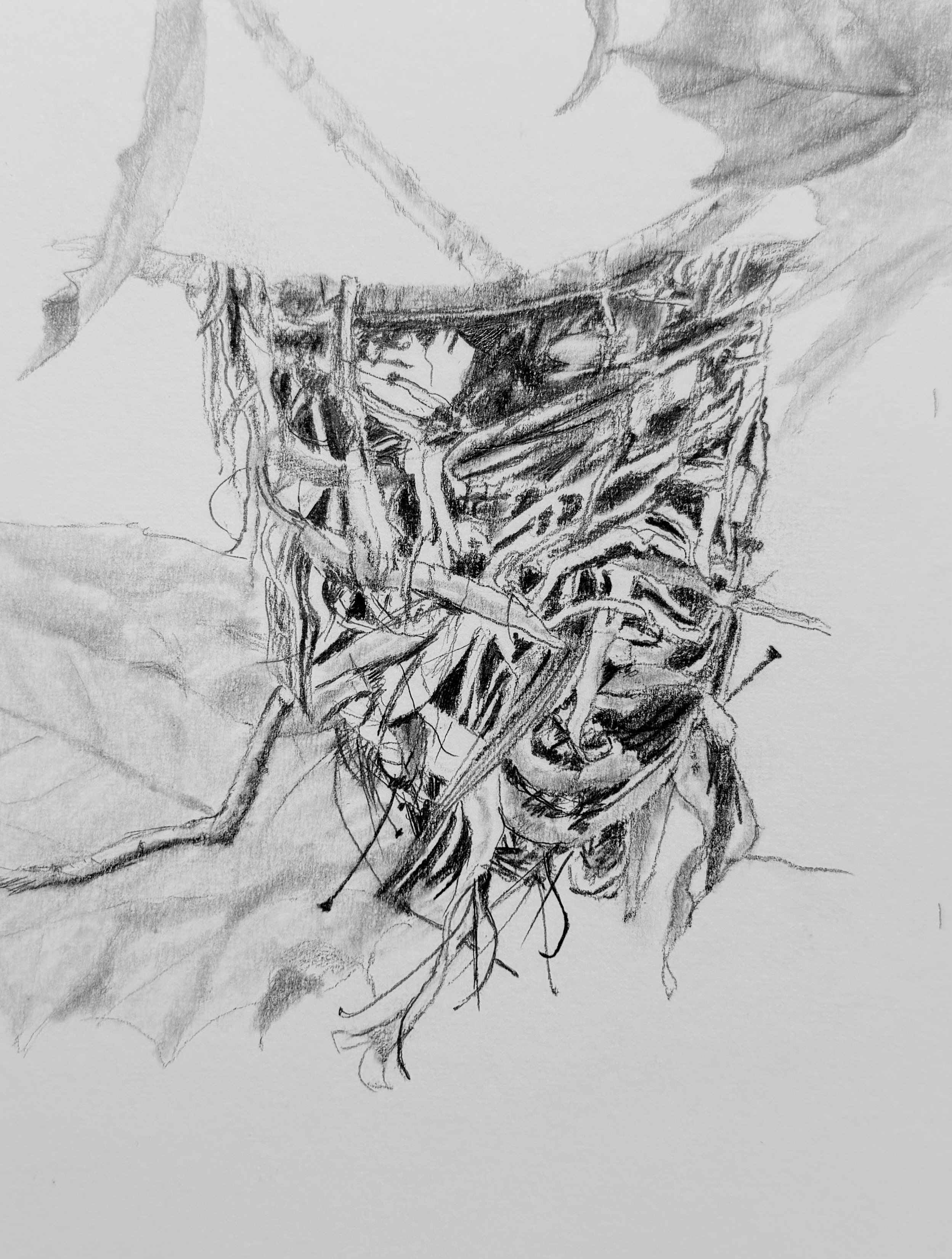 Abandoned Nest Again; 2025