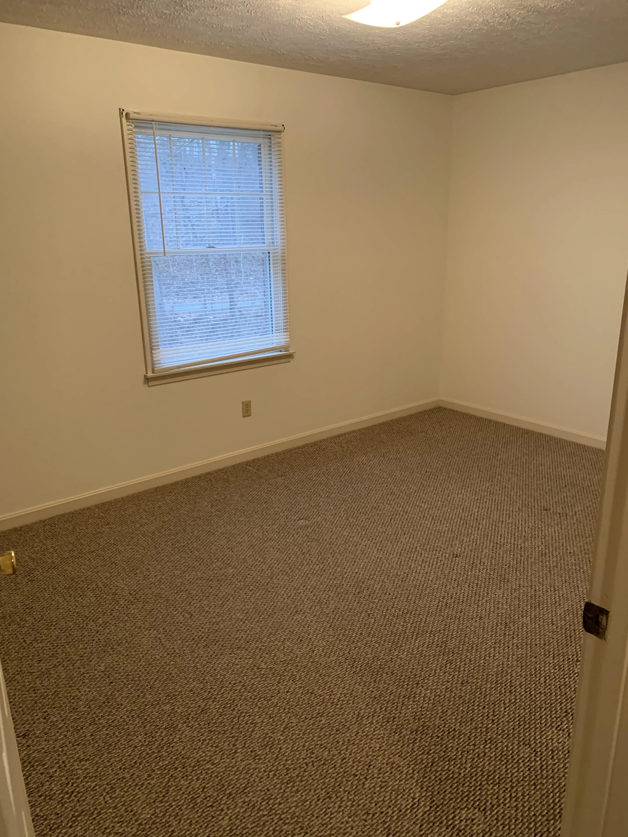nor rose bed.jpg