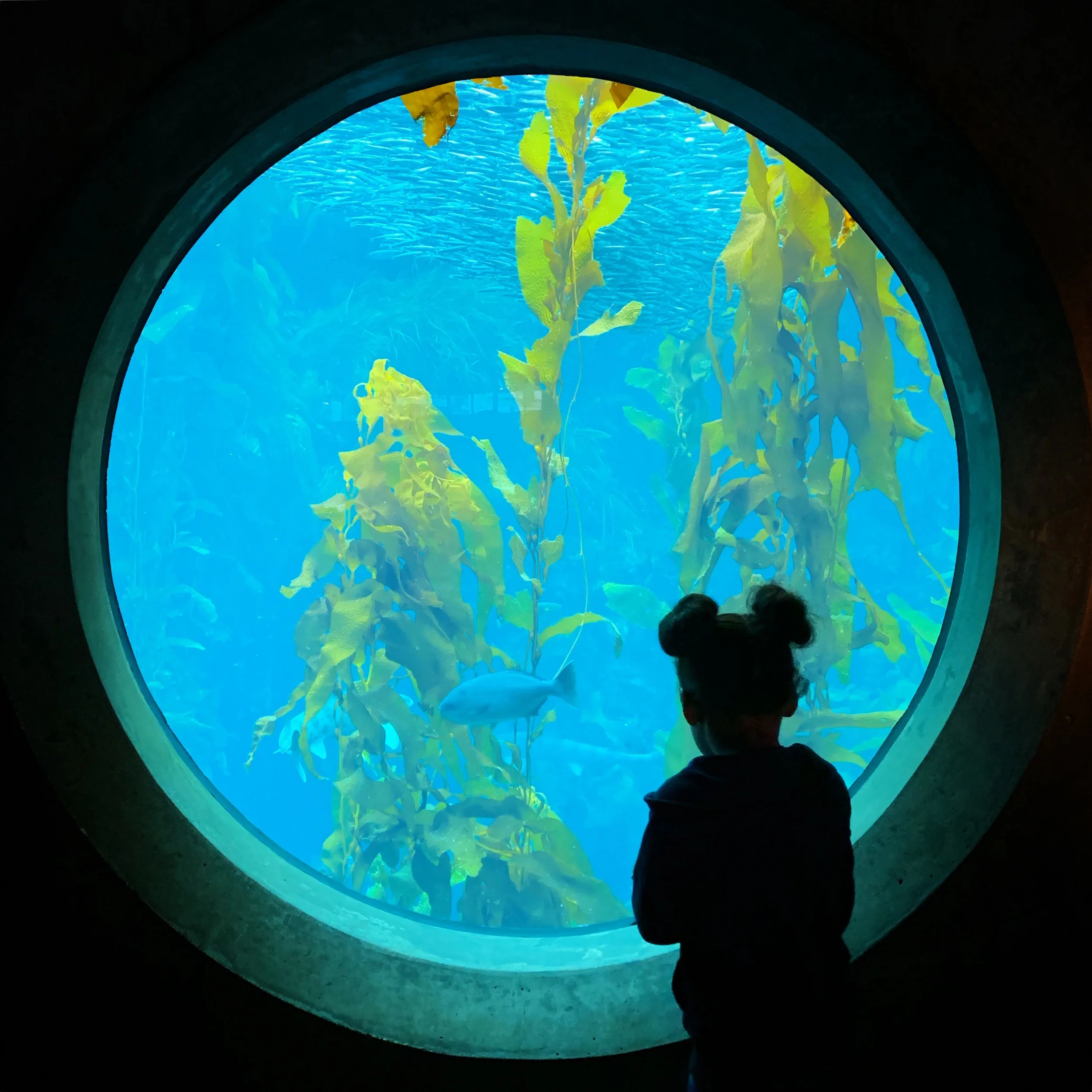 D97D0310-2CCA-4C0E-A467-54441F4228A5.jpeg