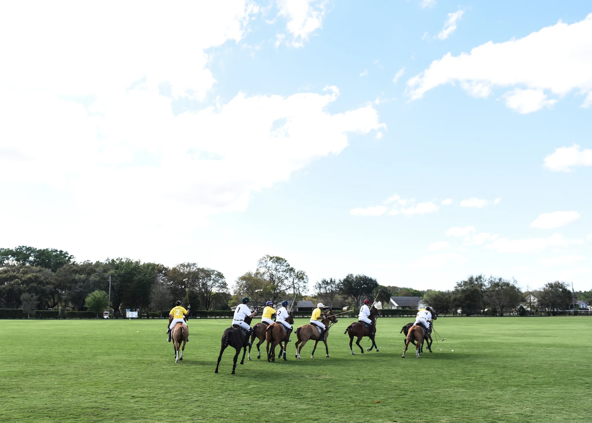 CharityPoloClassic2017-event-87.jpg