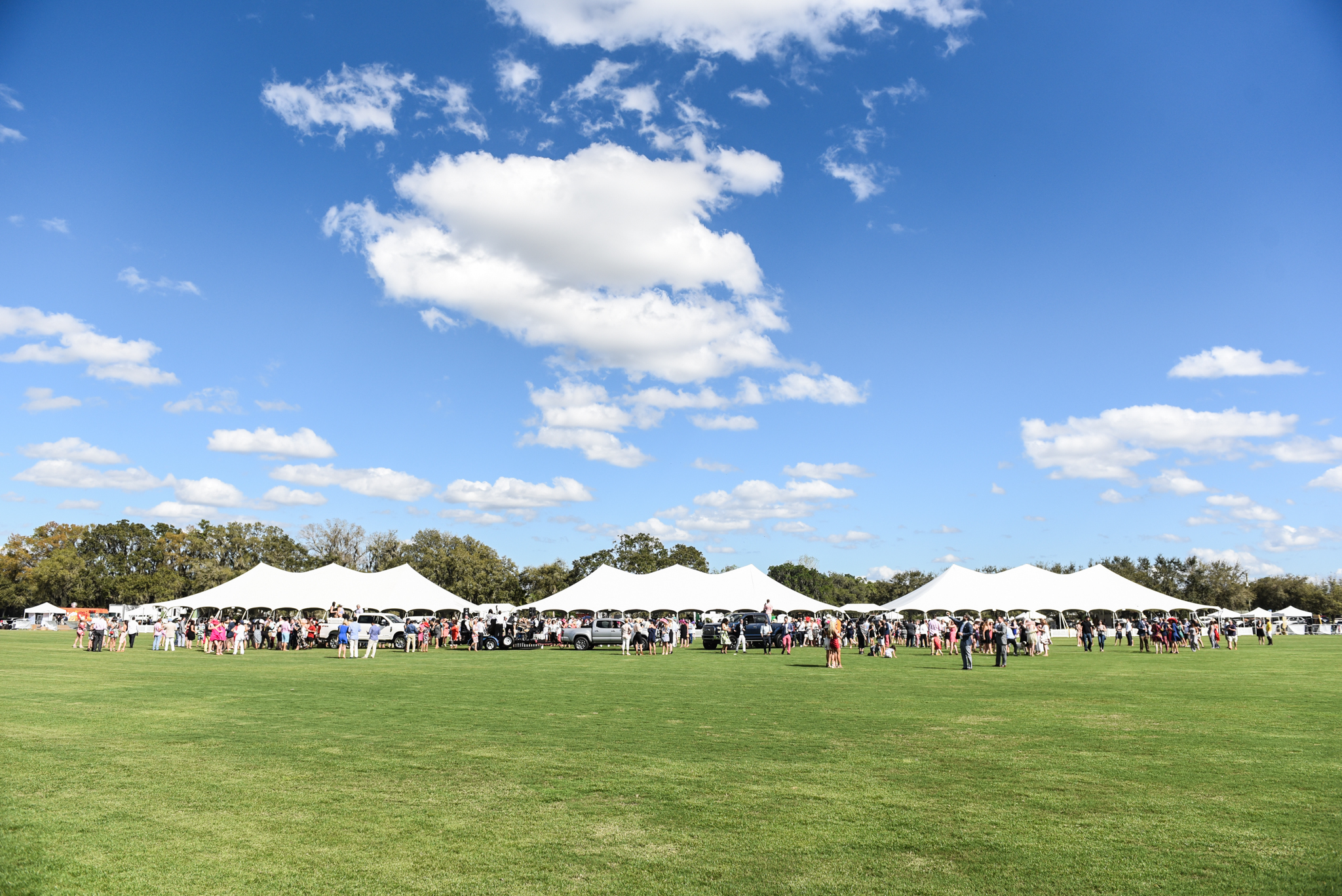 CharityPoloClassic2017-event-80.jpg