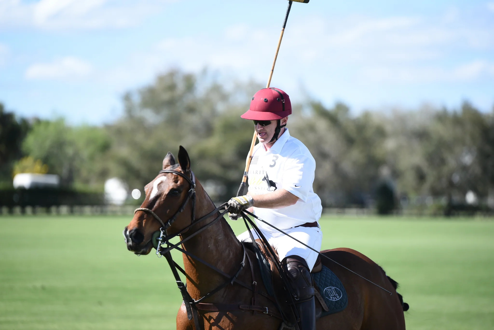 CharityPoloClassic2017-event-56.jpg
