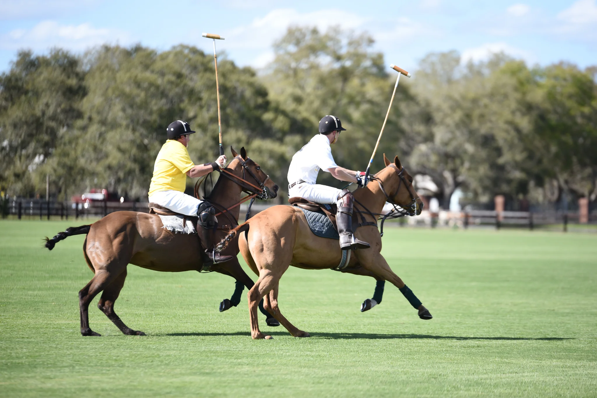 CharityPoloClassic2017-event-60.jpg