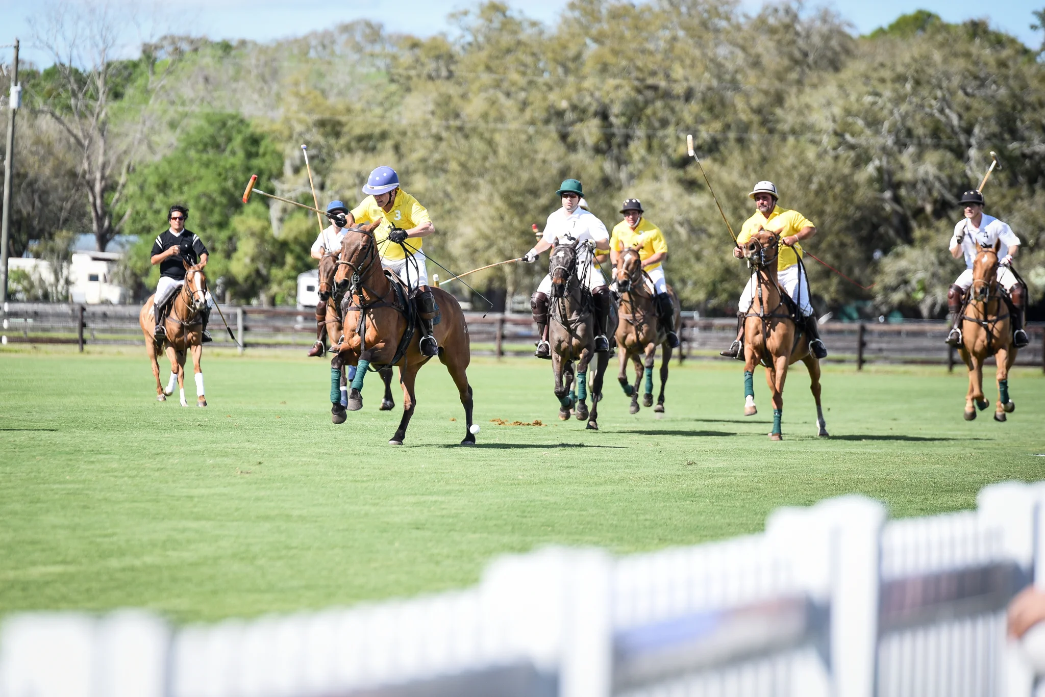 CharityPoloClassic2017-event-62.jpg