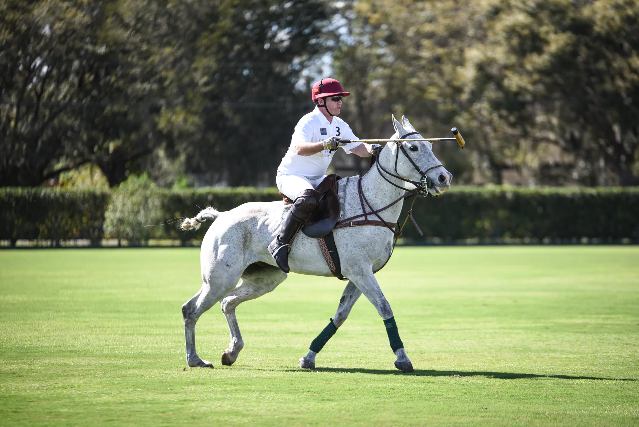 CharityPoloClassic2017-event-64.jpg