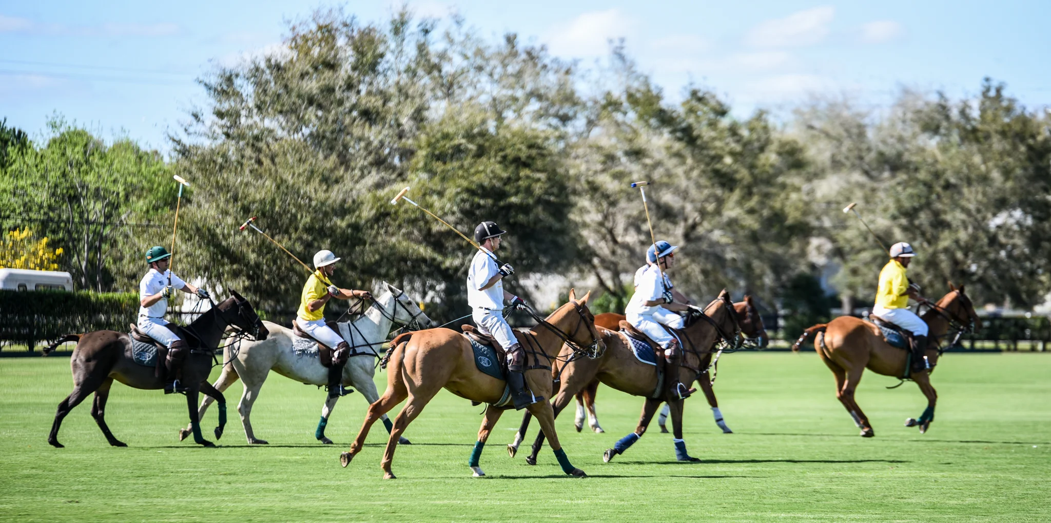 CharityPoloClassic2017-event-66.jpg