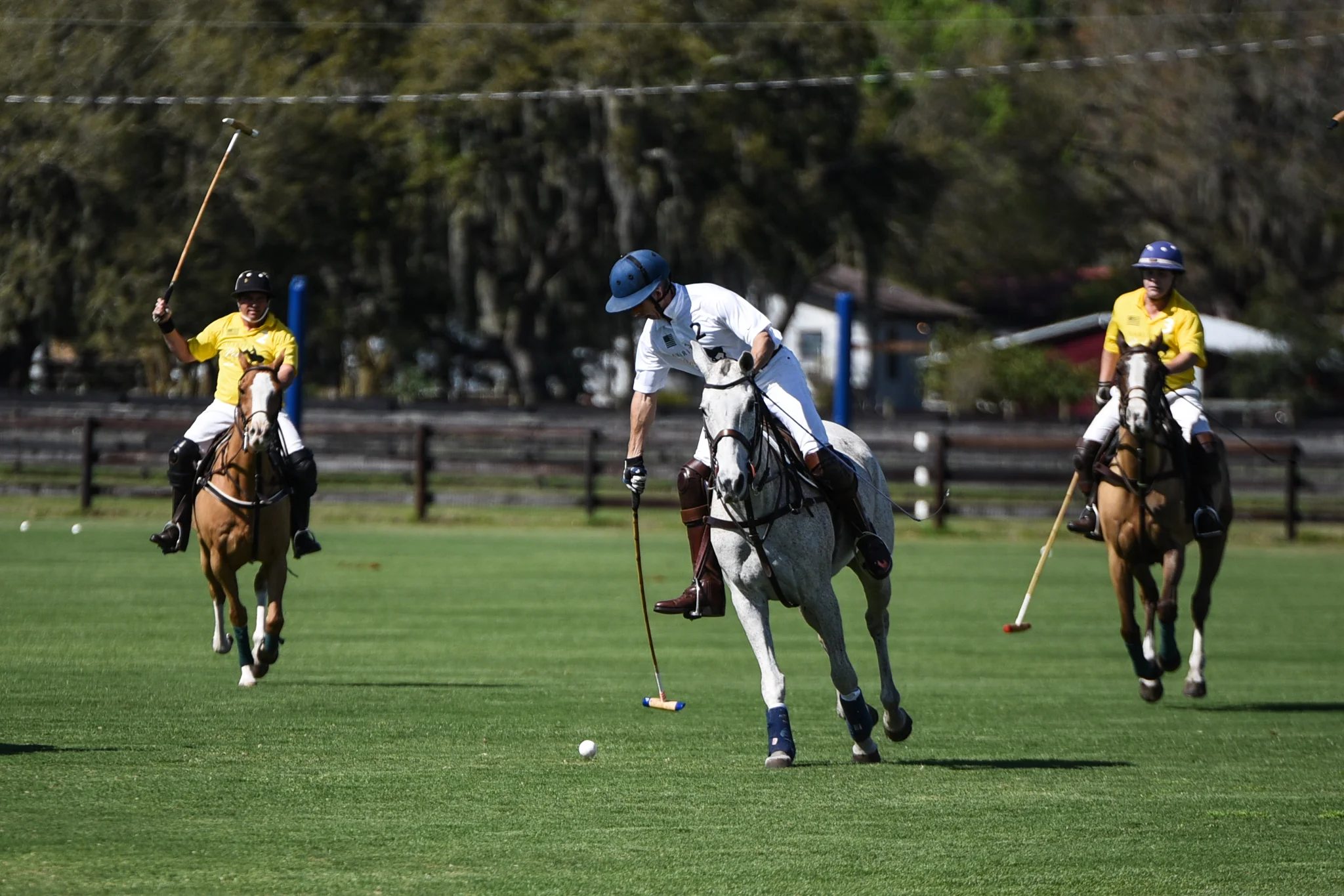 CharityPoloClassic2017-event-47.jpg