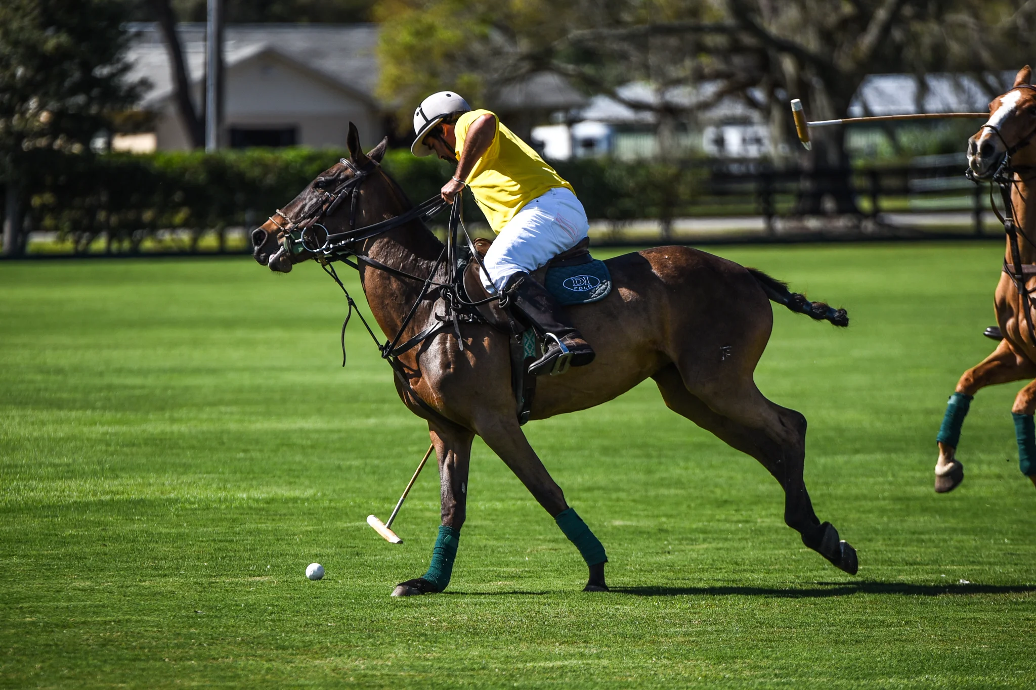 CharityPoloClassic2017-event-48.jpg