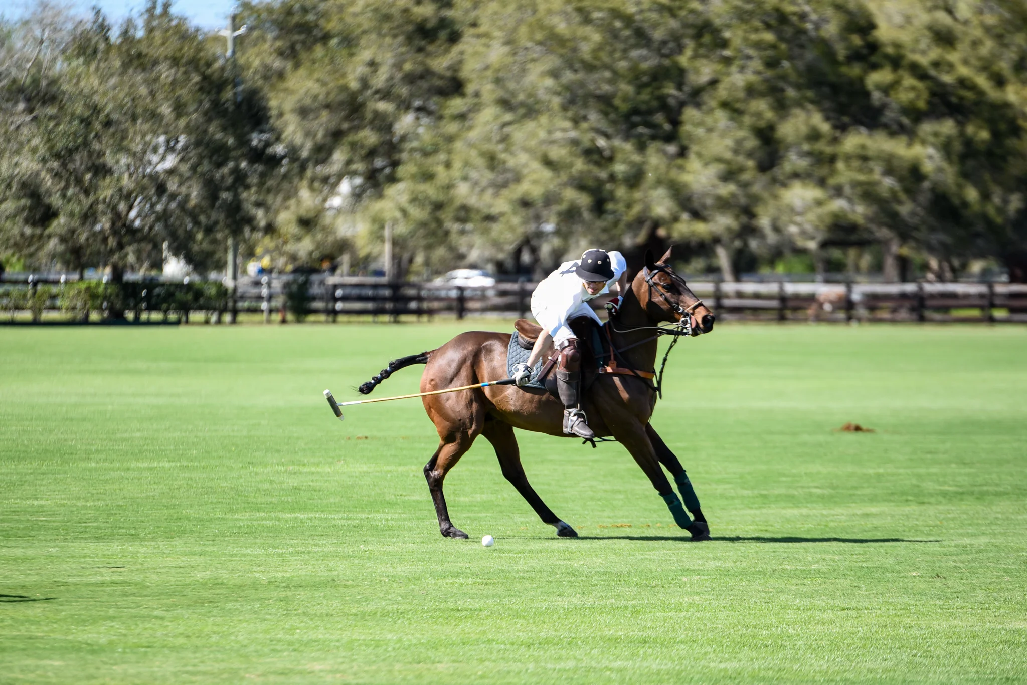 CharityPoloClassic2017-event-49.jpg