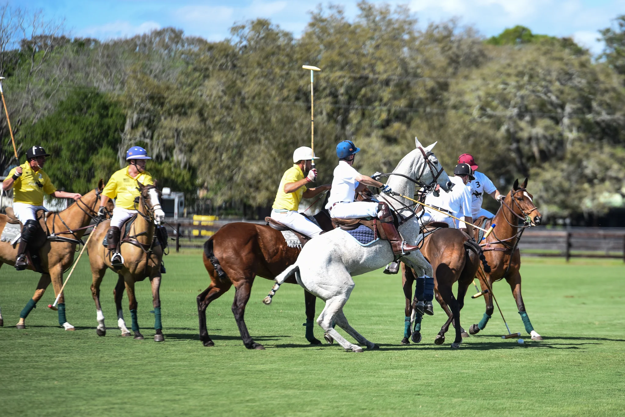 CharityPoloClassic2017-event-50.jpg