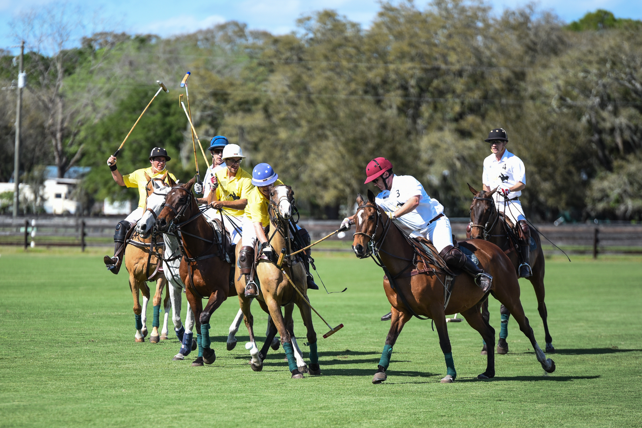 CharityPoloClassic2017-event-51.jpg