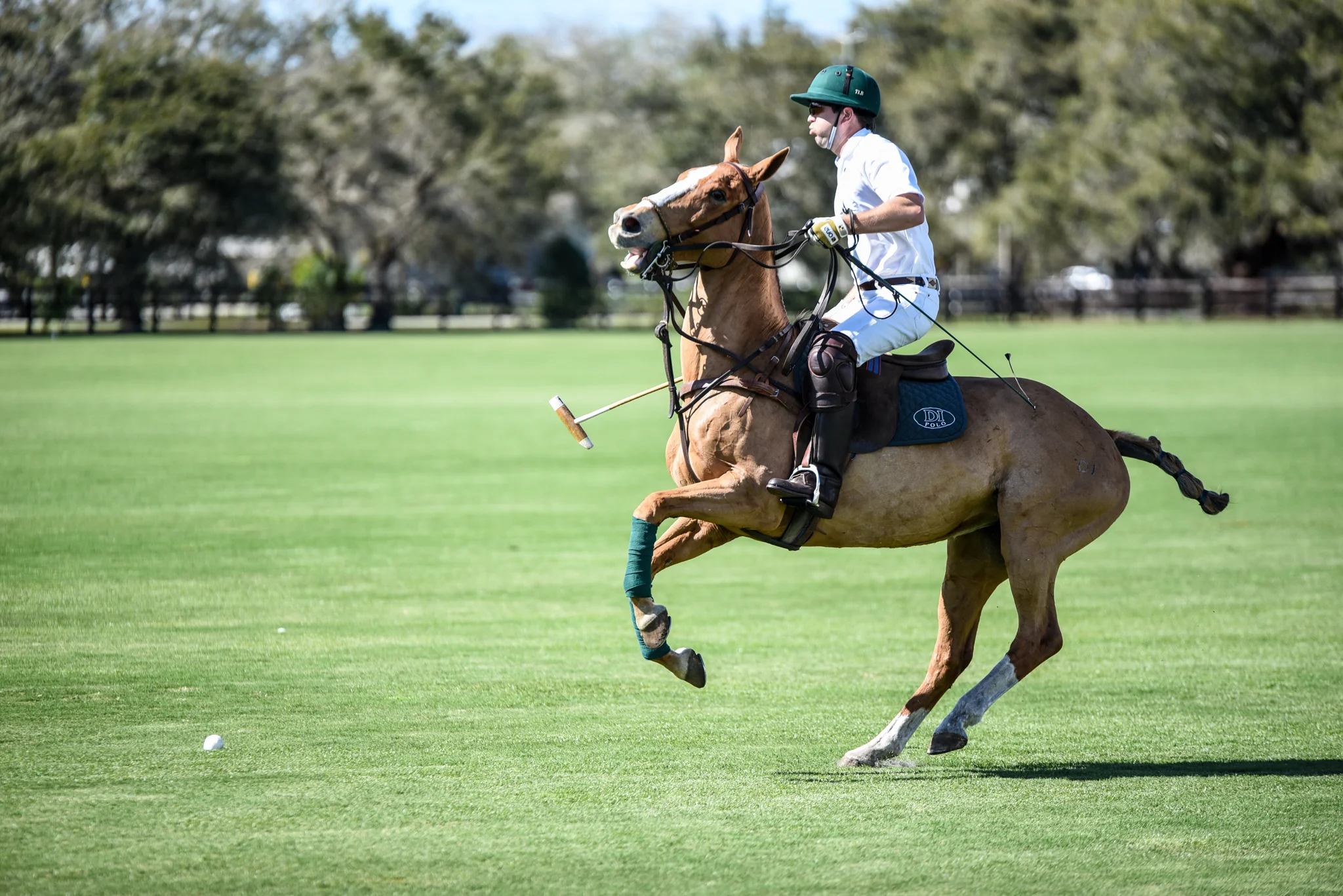 CharityPoloClassic2017-event-53.jpg