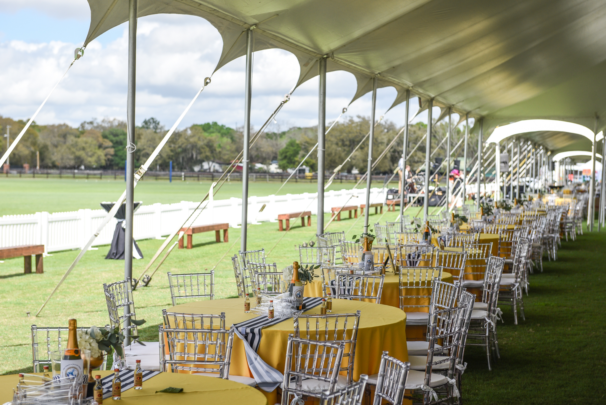 CharityPoloClassic2017-event-8.jpg
