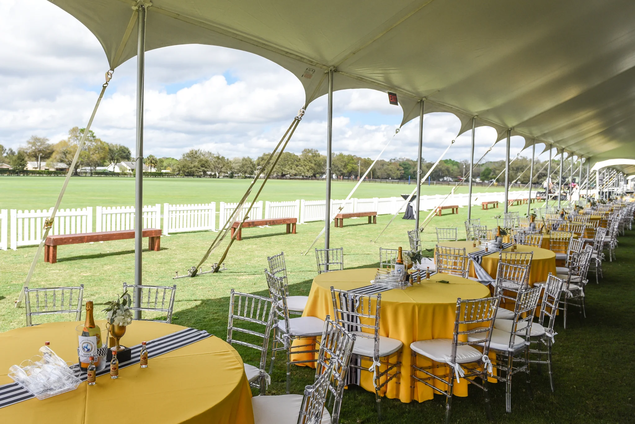 CharityPoloClassic2017-event-9.jpg