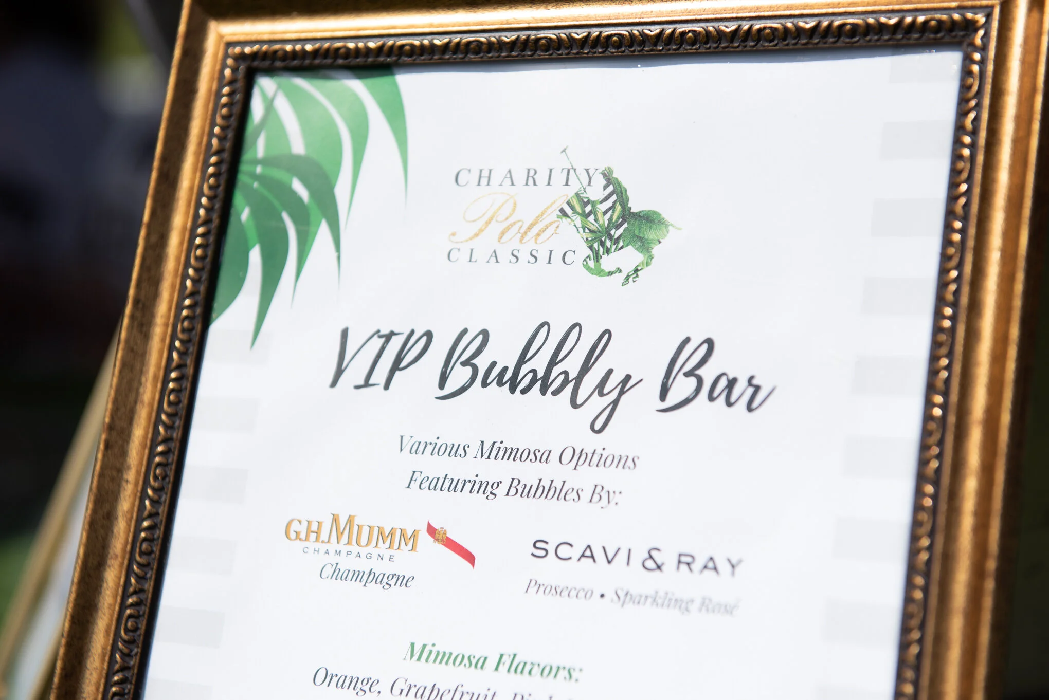 2019CharityPolo-101.jpg