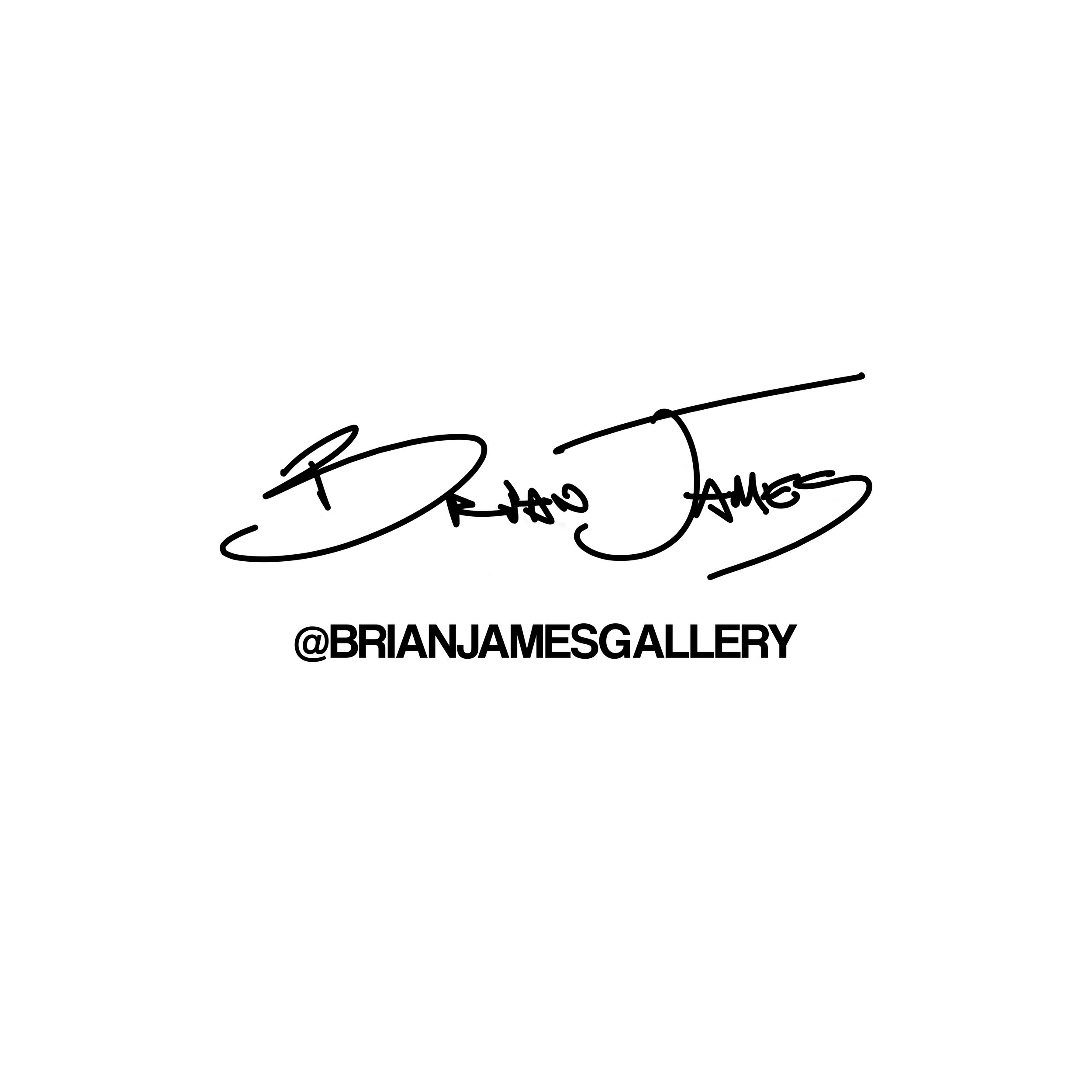 Brian-James-GALLERY-S logo.jpg