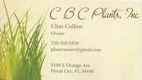 CBC Plants.jpg