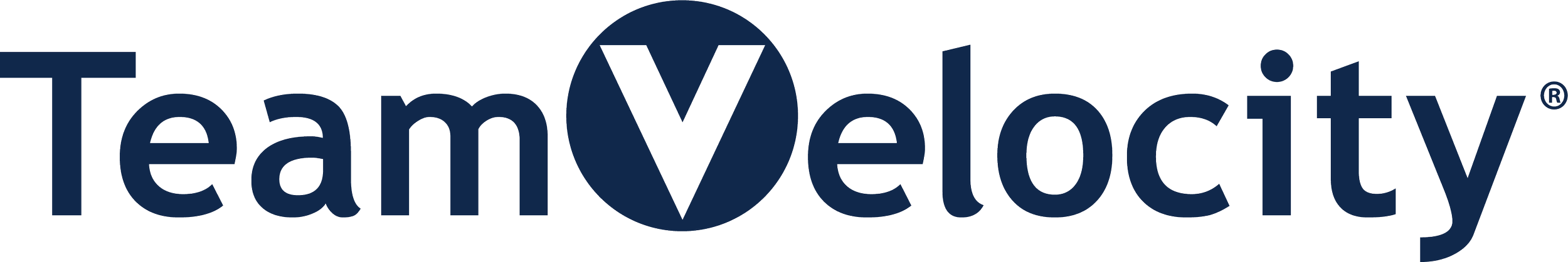 TeamVelocityLogoR-blue_4CP.png