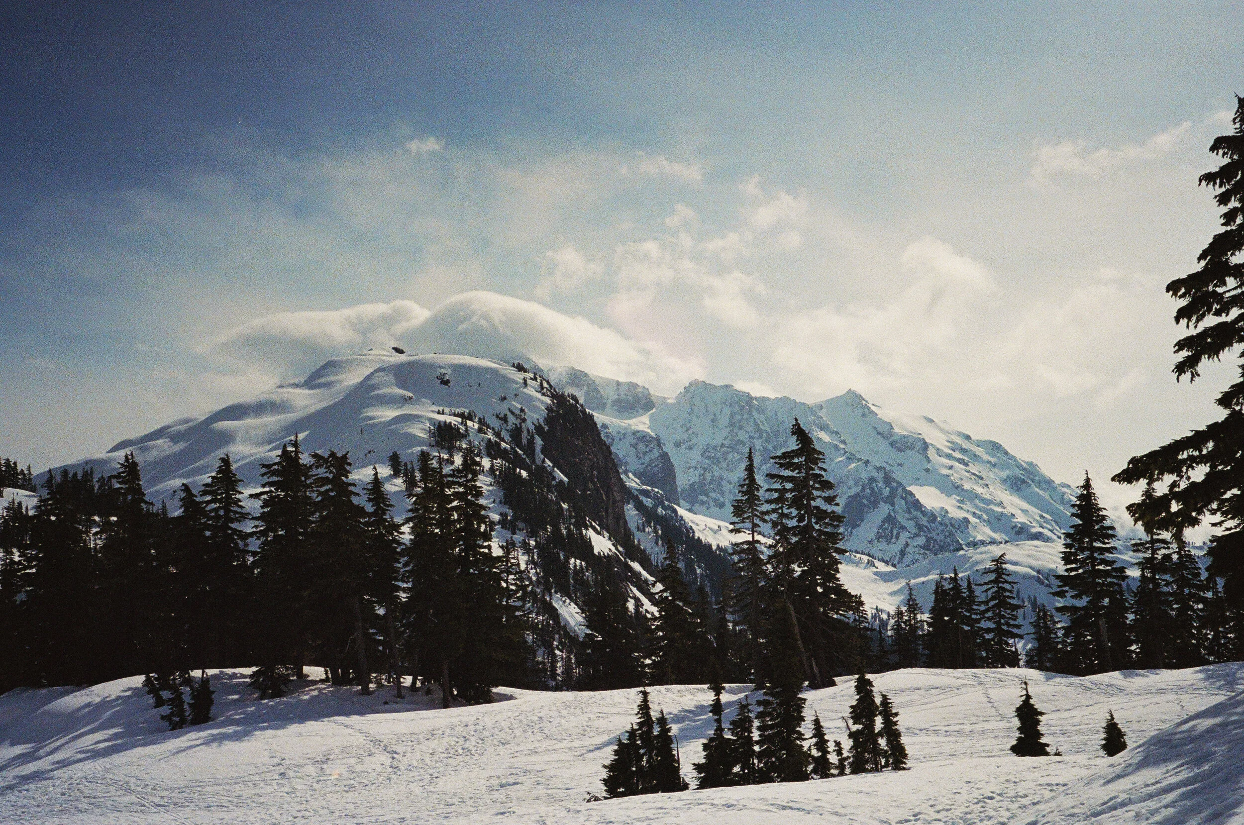 2019_04_011_edit.jpg