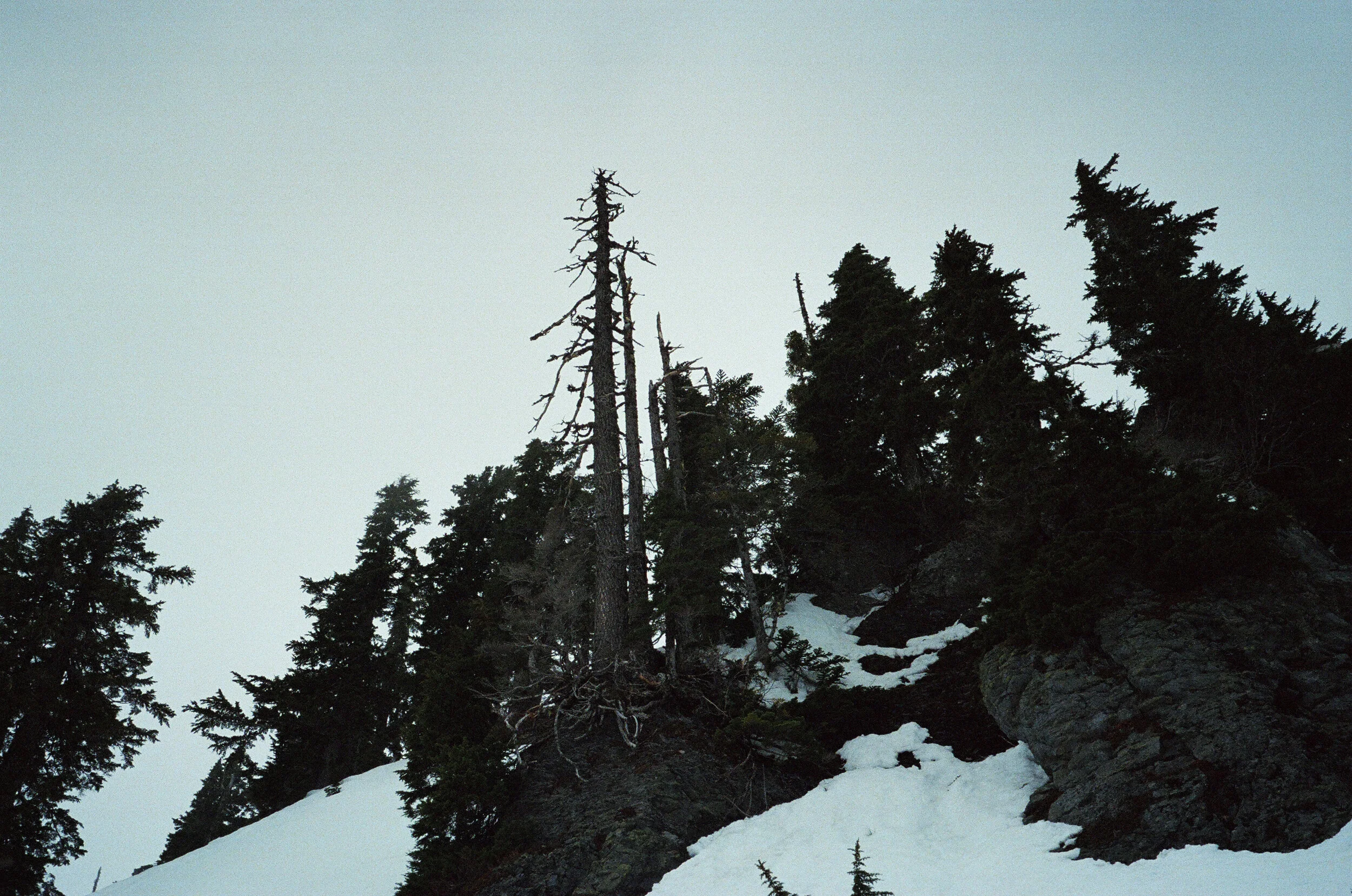 2019_04_020_edit.jpg