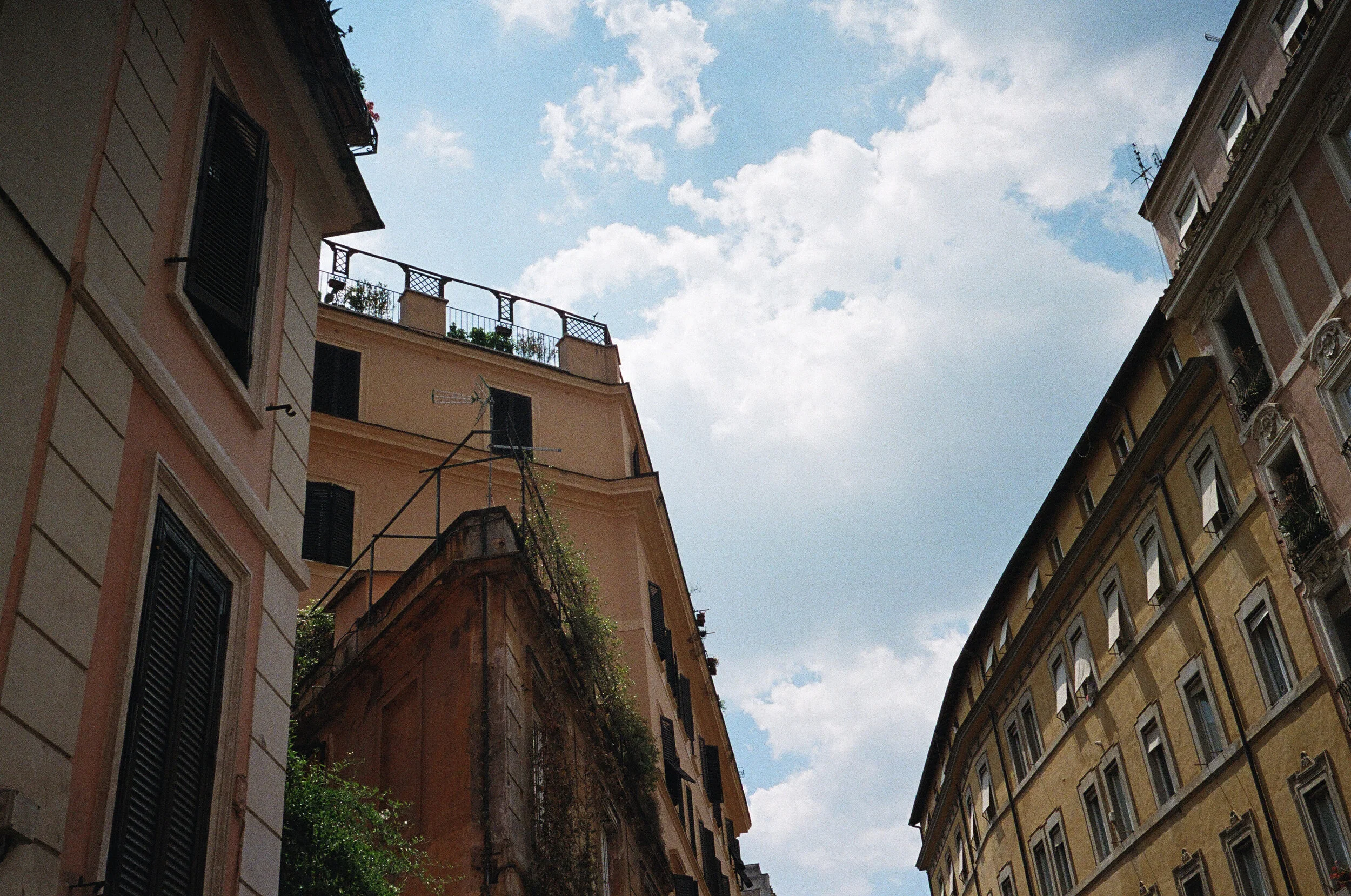 2019_07_077_edit.jpg