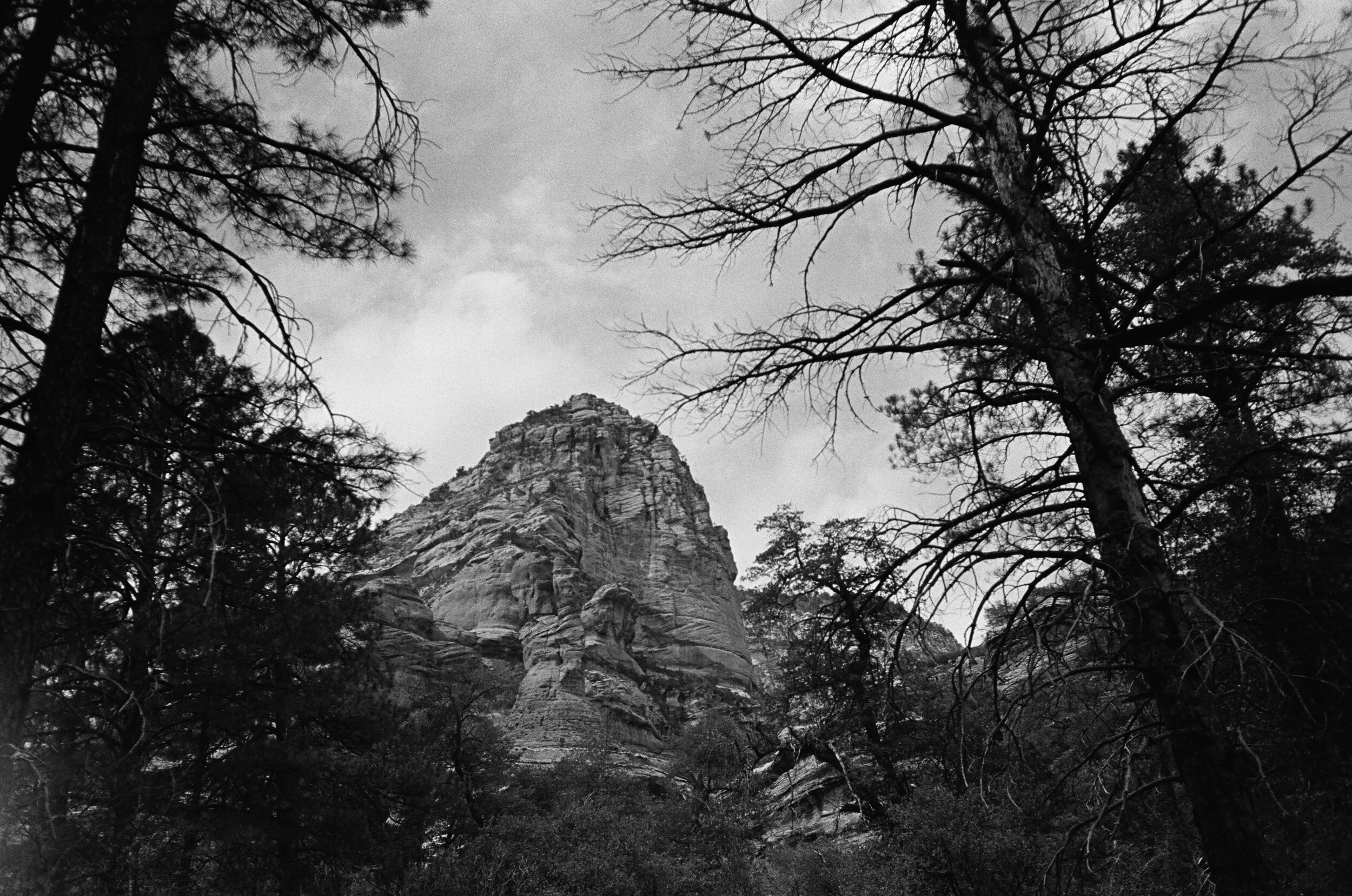 black&white_04.jpg