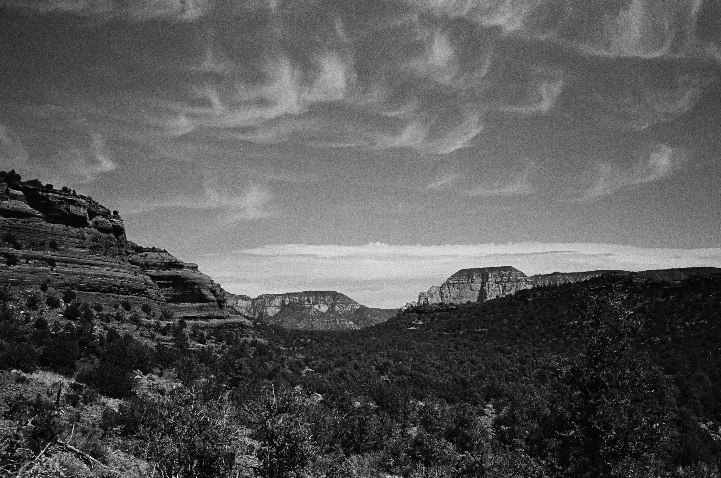 black&white_06.jpg