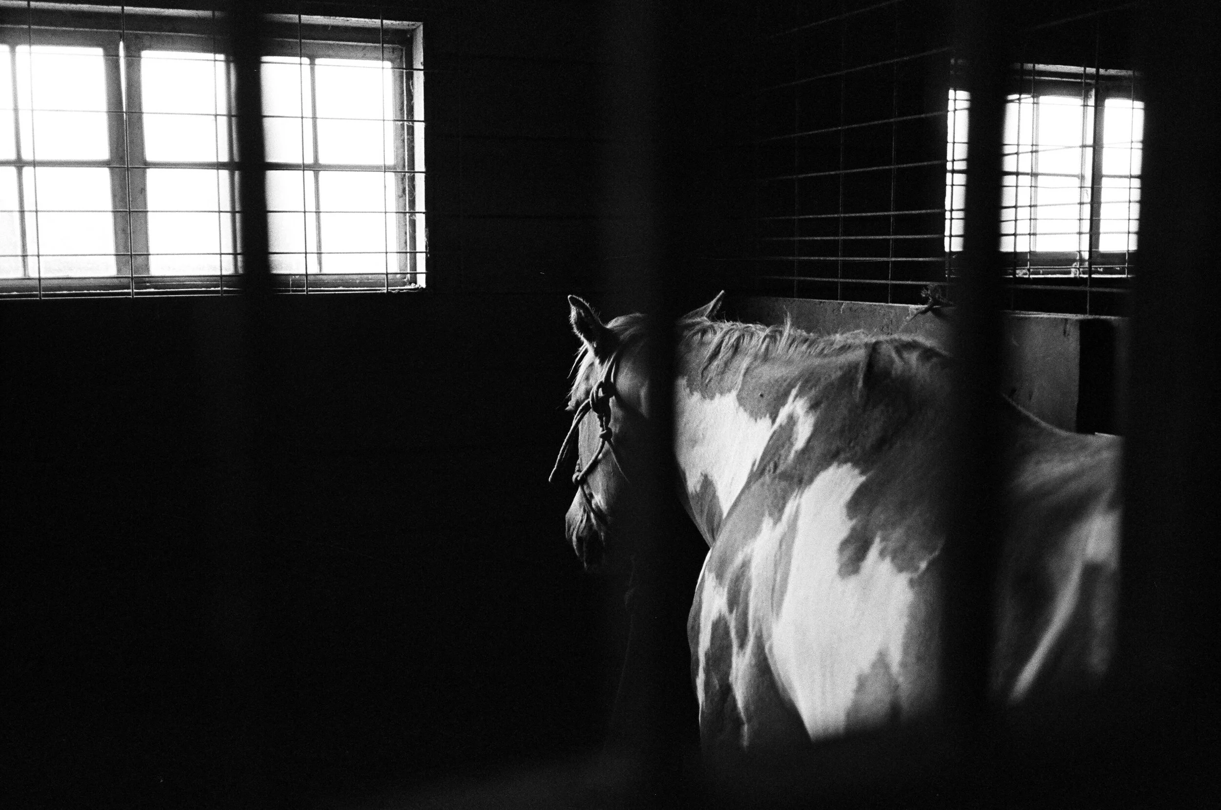 black&white_08.jpg