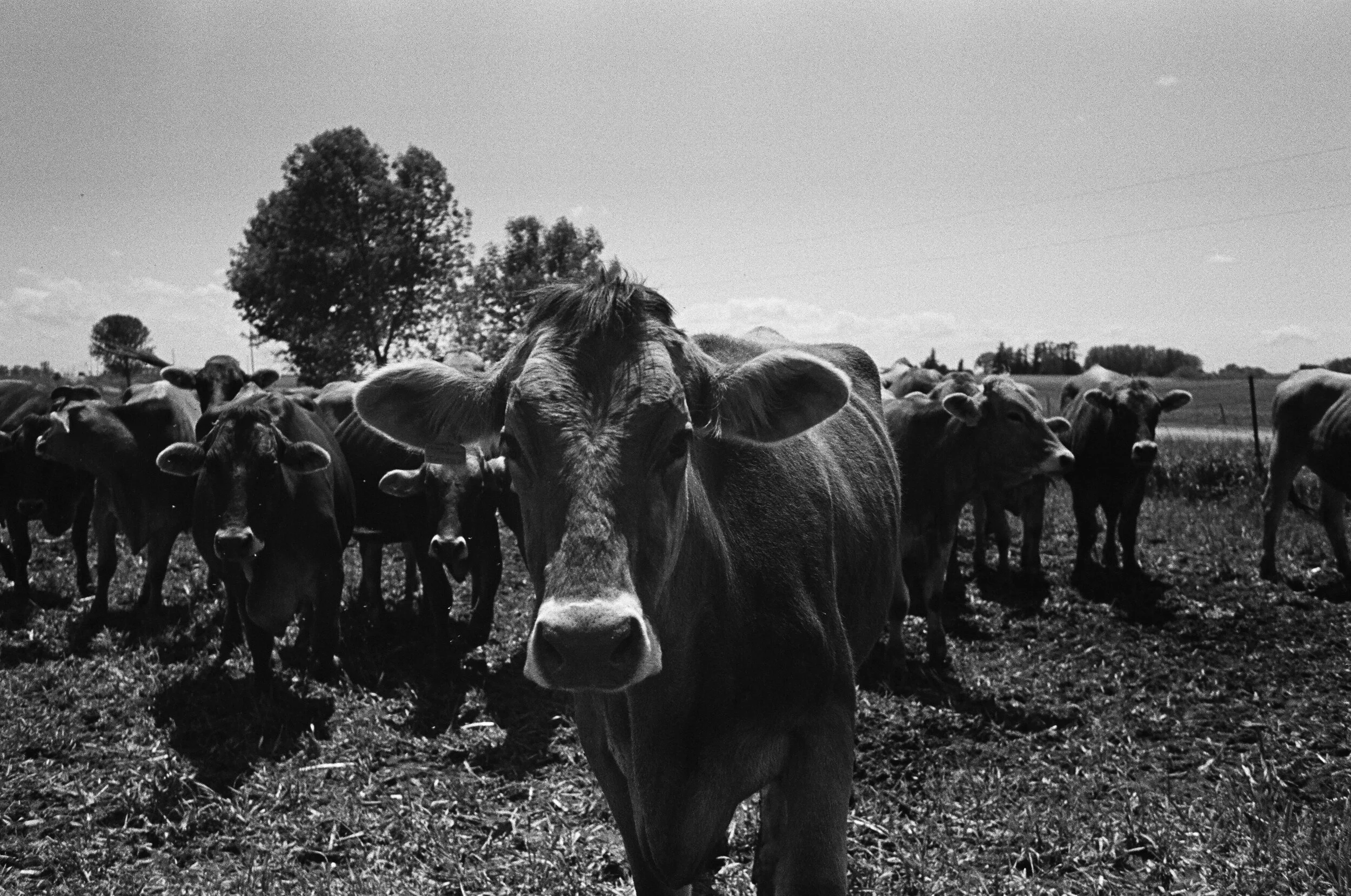 black&white_07.jpg