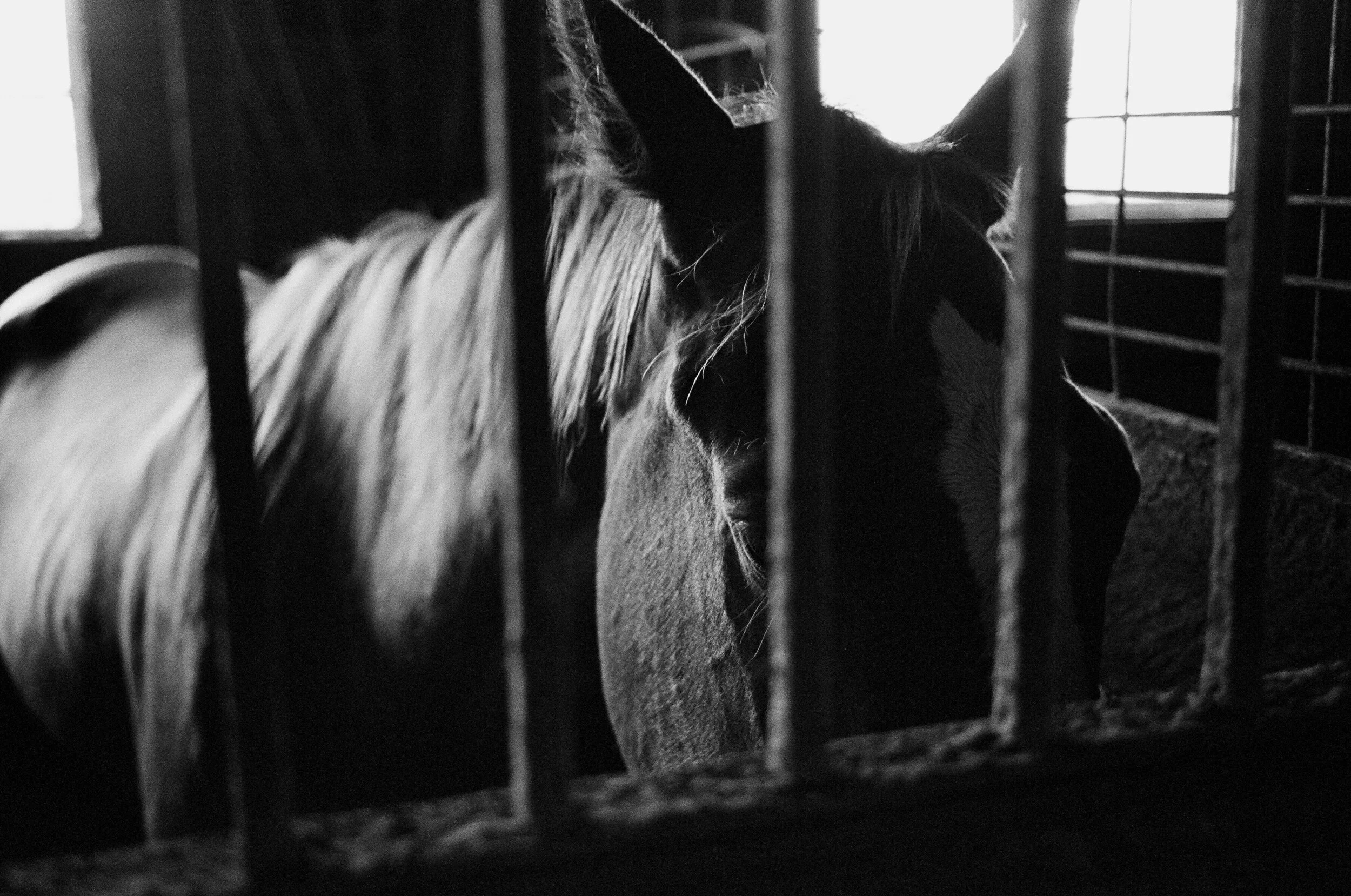black&white_09.jpg