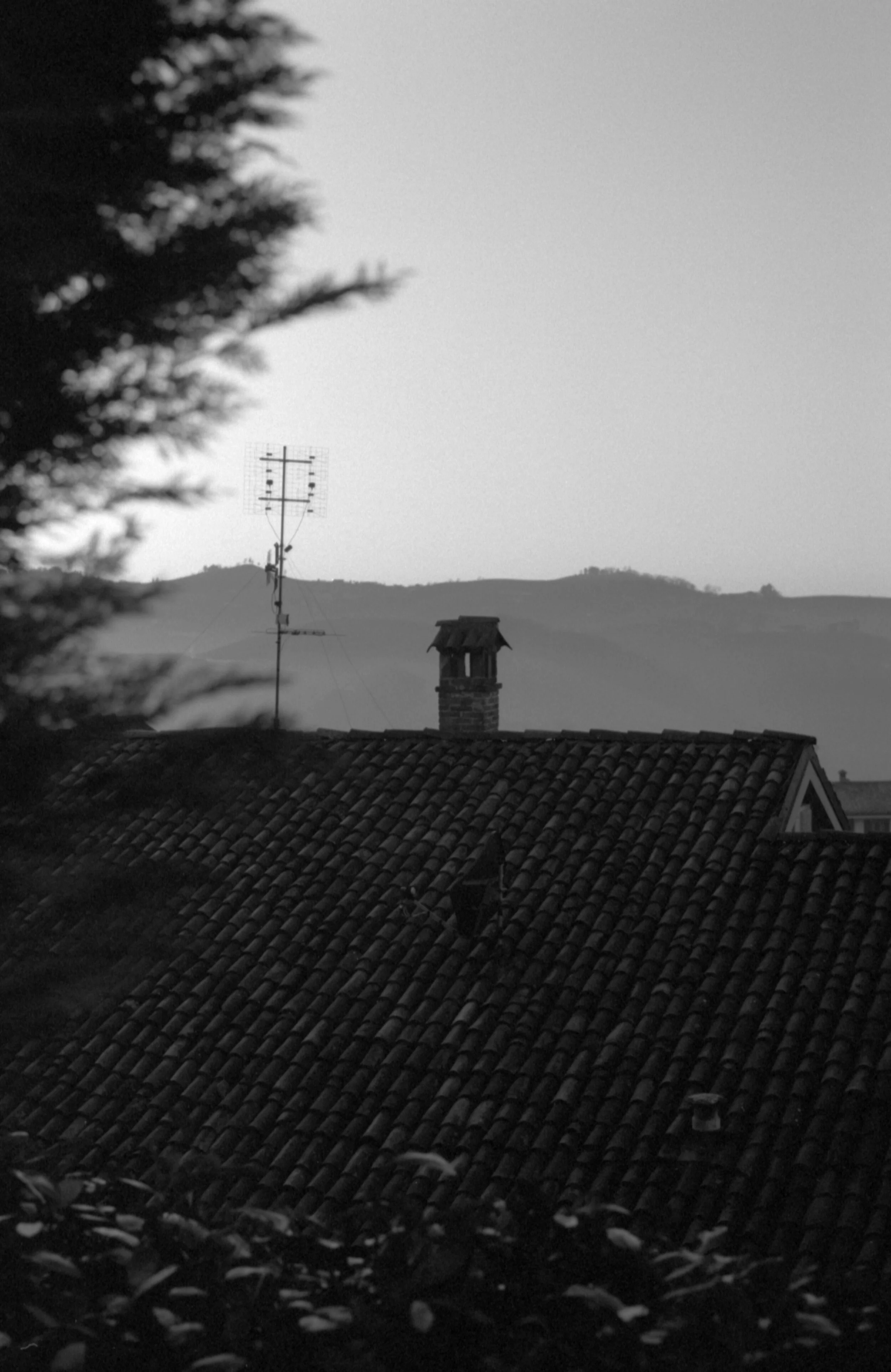 black&white_17.jpg
